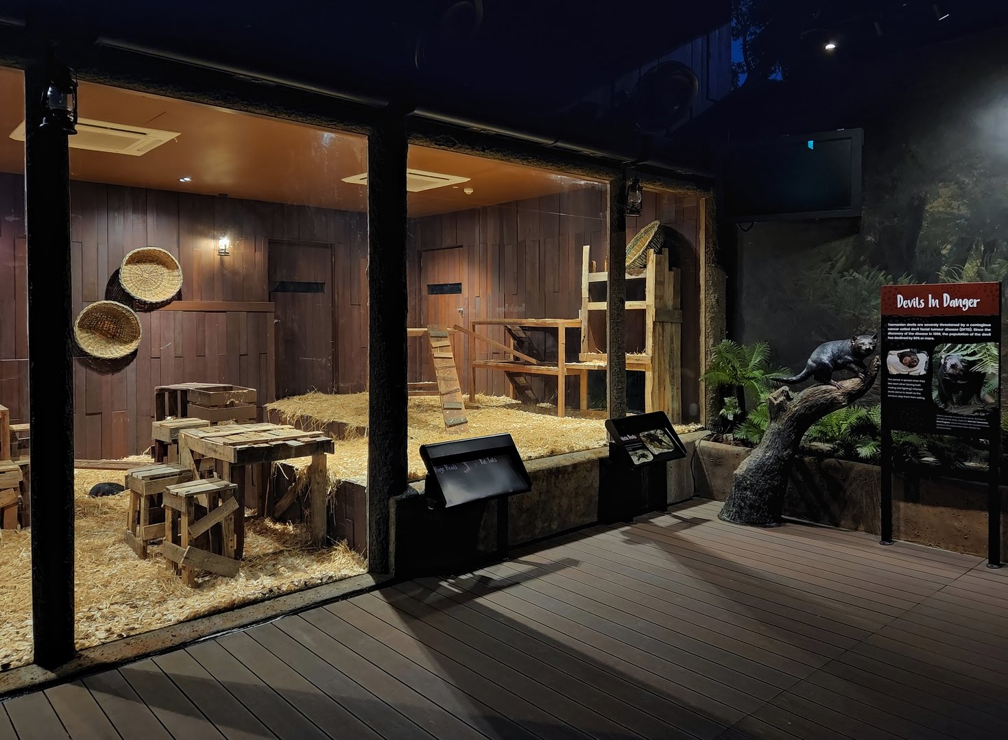 Tasmanian Devil exhibit (indoor enclosure 2)