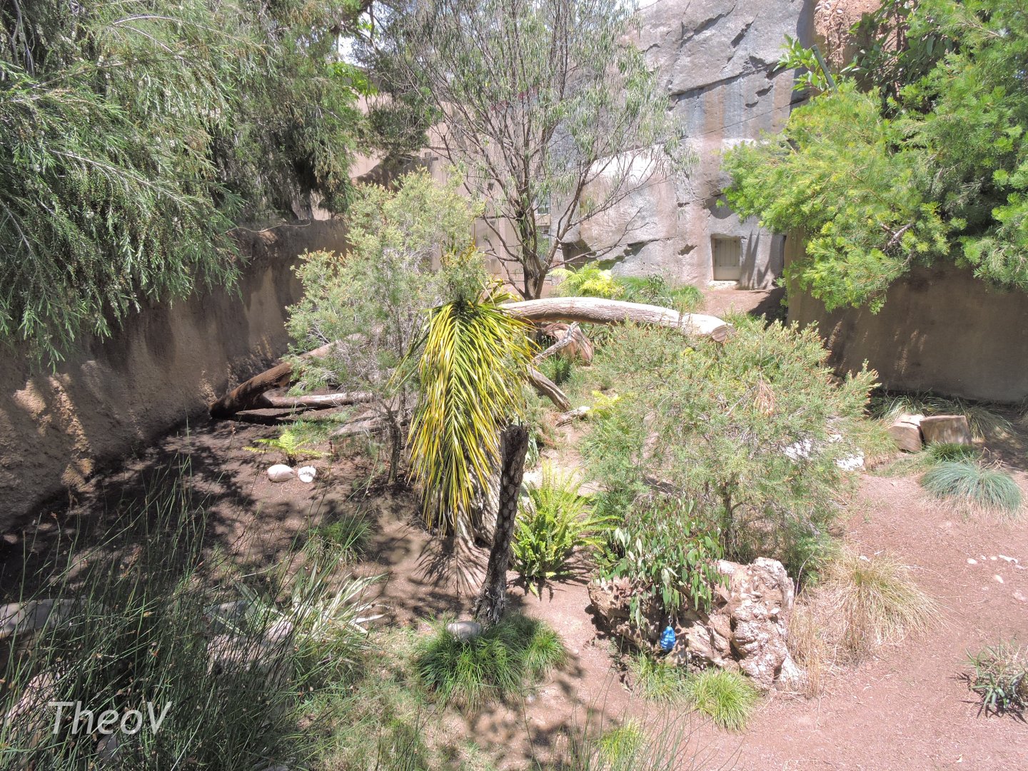 Tasmanian devil exhibit - Outback [2015]