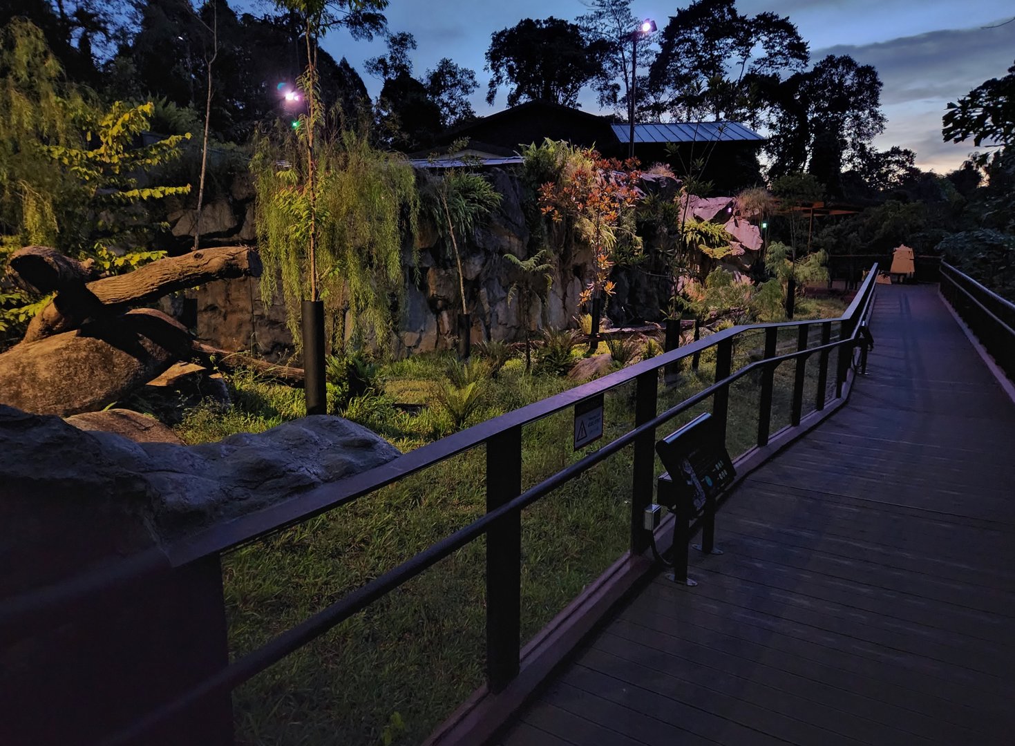 Tasmanian Devil exhibit (outdoor enclosure 1)