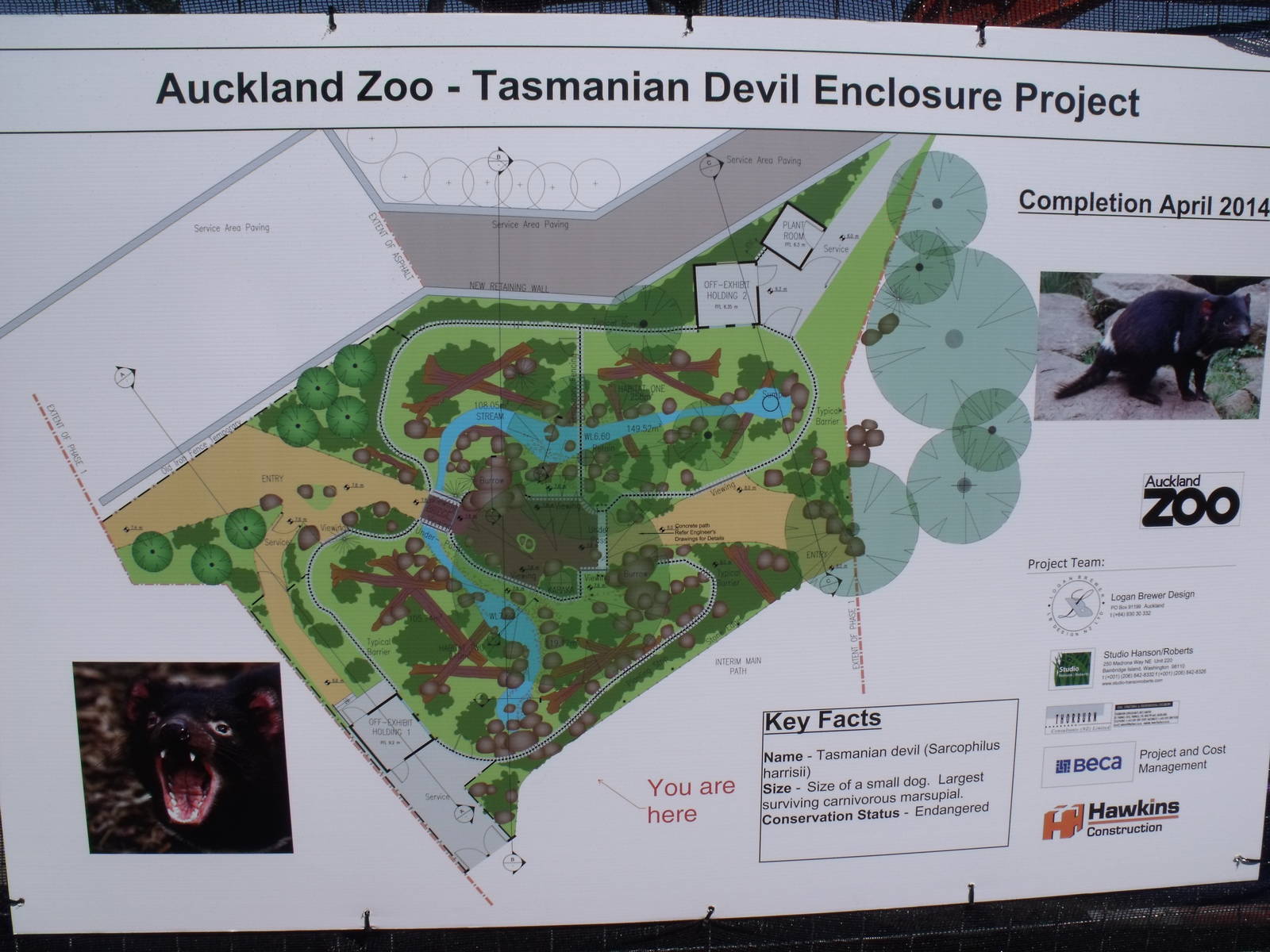 Tasmanian Devil Exhibit Plan