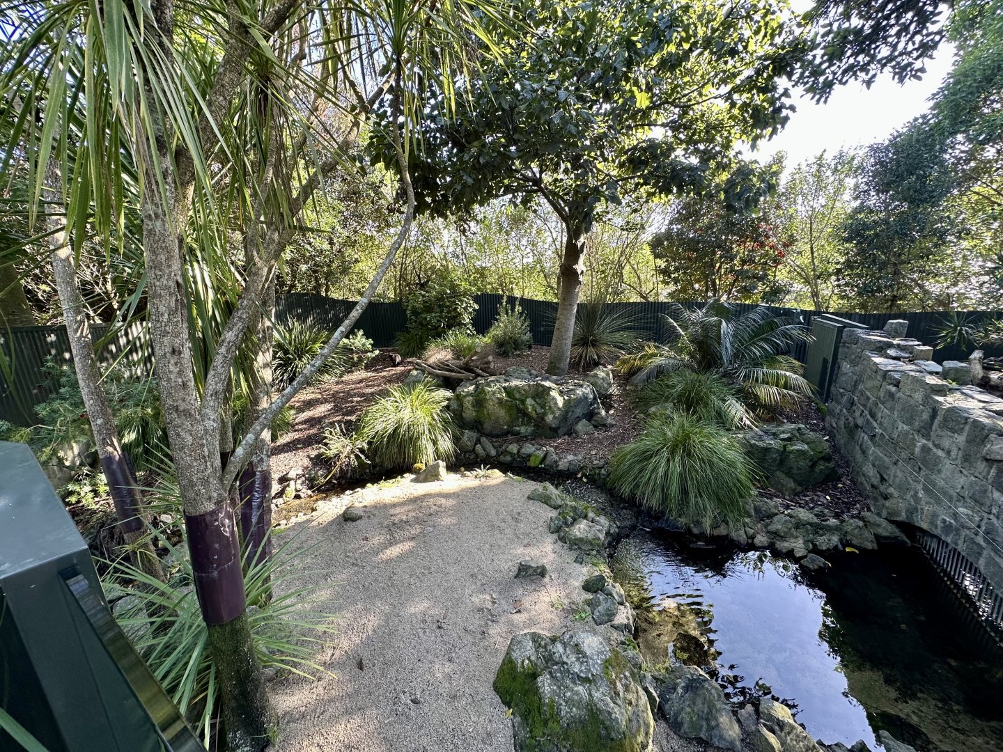 Tasmanian Devil Exhibit (Renovated)