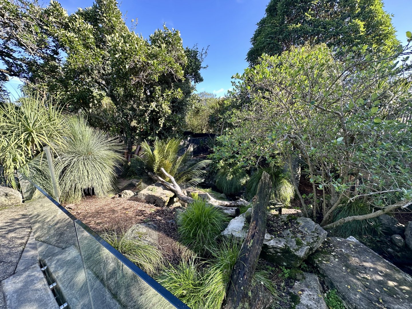 Tasmanian Devil Exhibit (Renovated)