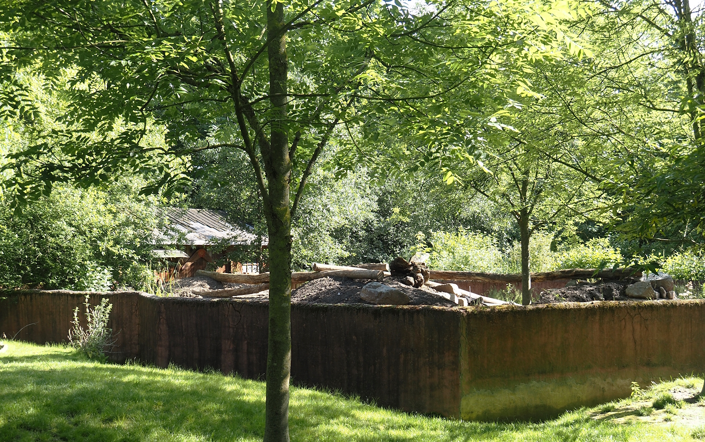 Tasmanian devil exhibit renovation and expansion - Renovation of existing exhibit, 2024-05-28