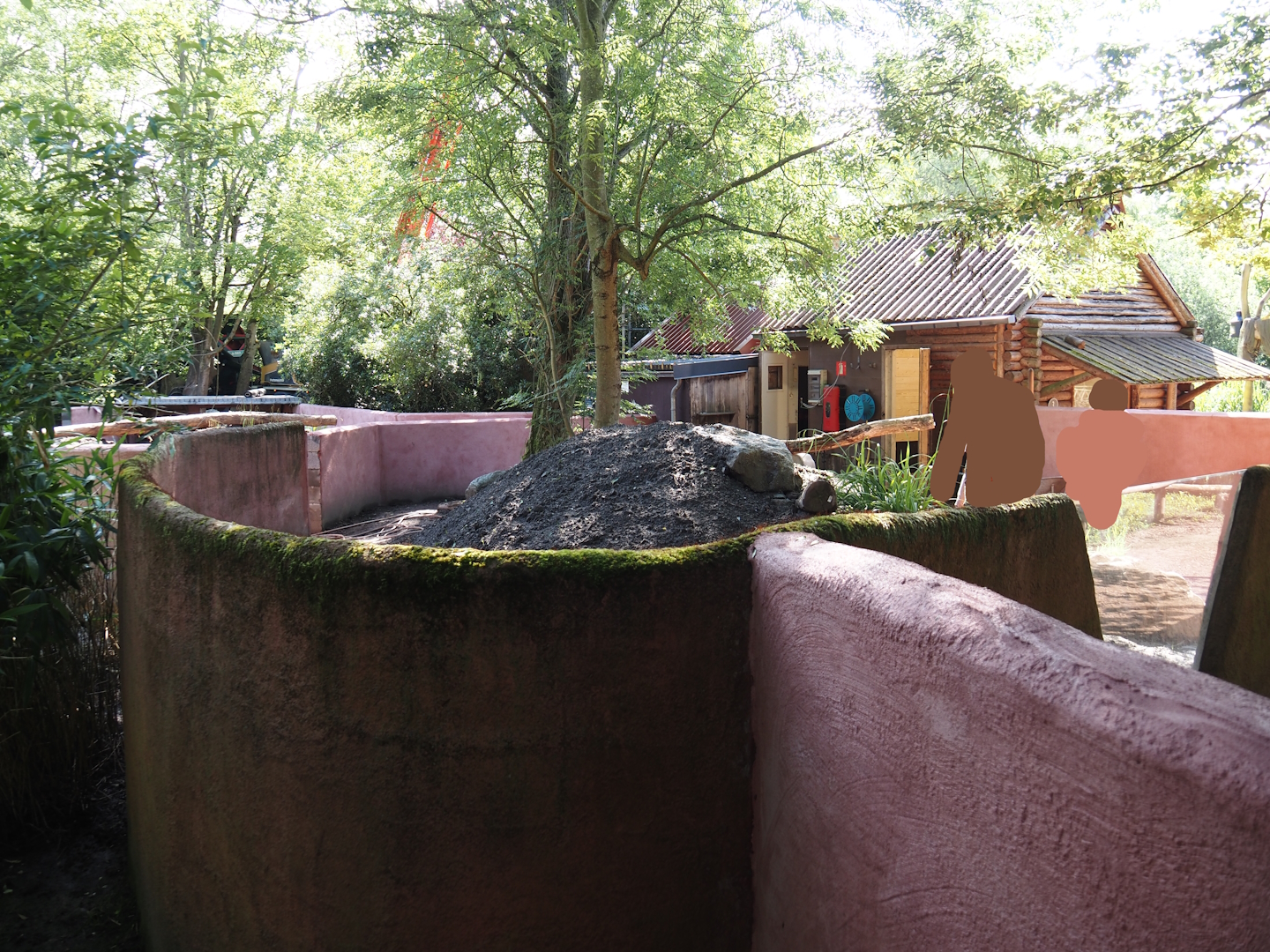 Tasmanian devil exhibit renovation and expansion with former wombat/echidna area, 2024-05-28