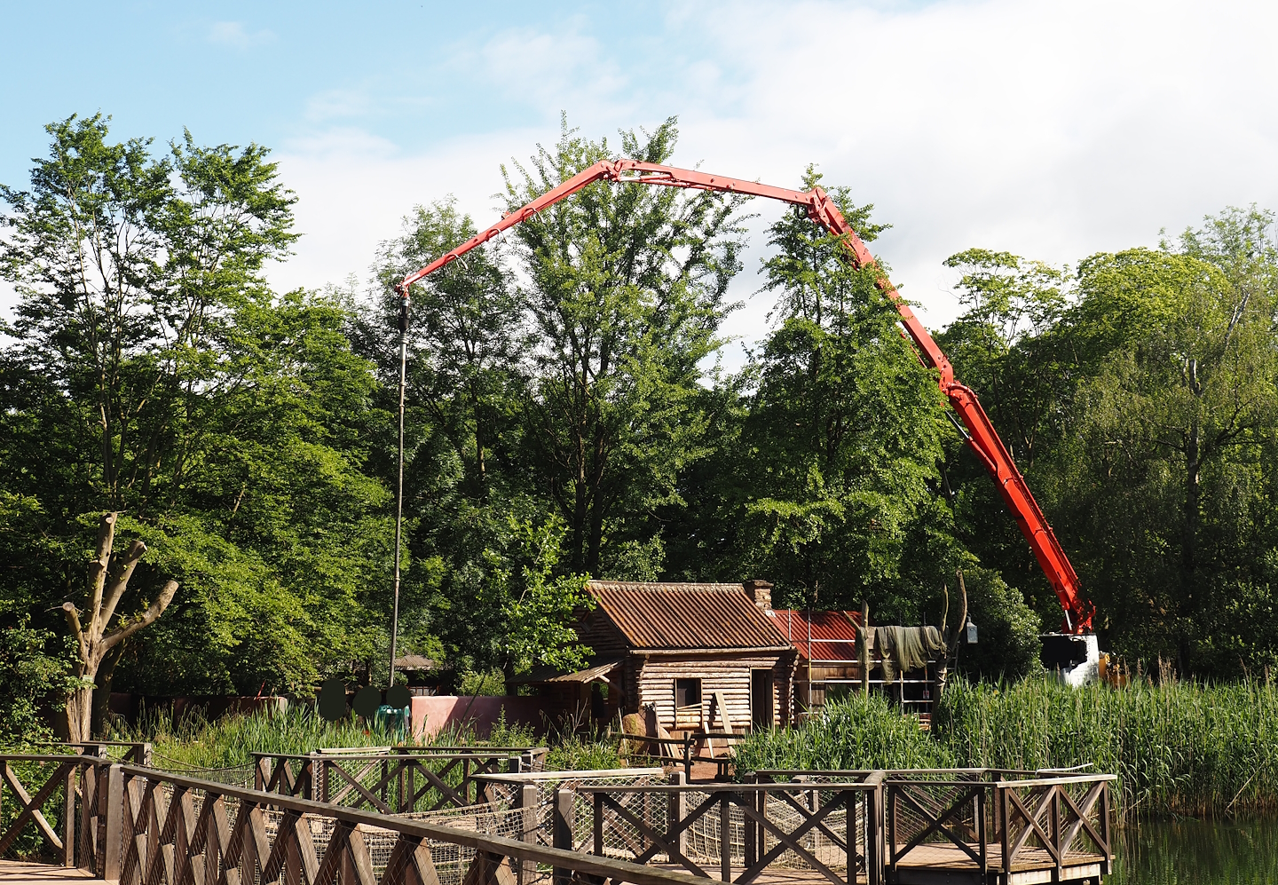 Tasmanian devil exhibit renovation and expansion with former wombat/echidna area - Pouring of concrete, 2024-05-28