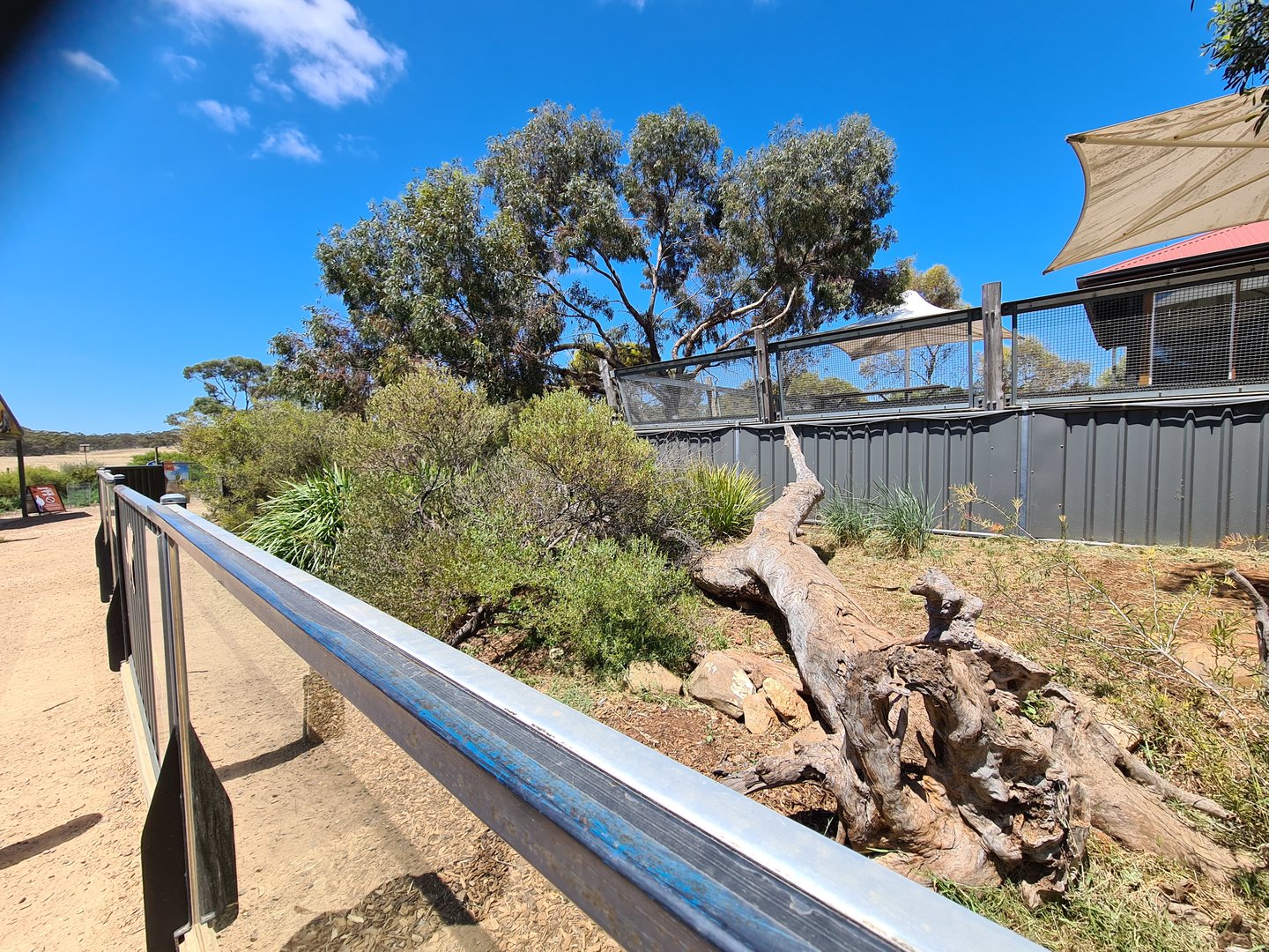 Tasmanian Devil exhibit (right side)