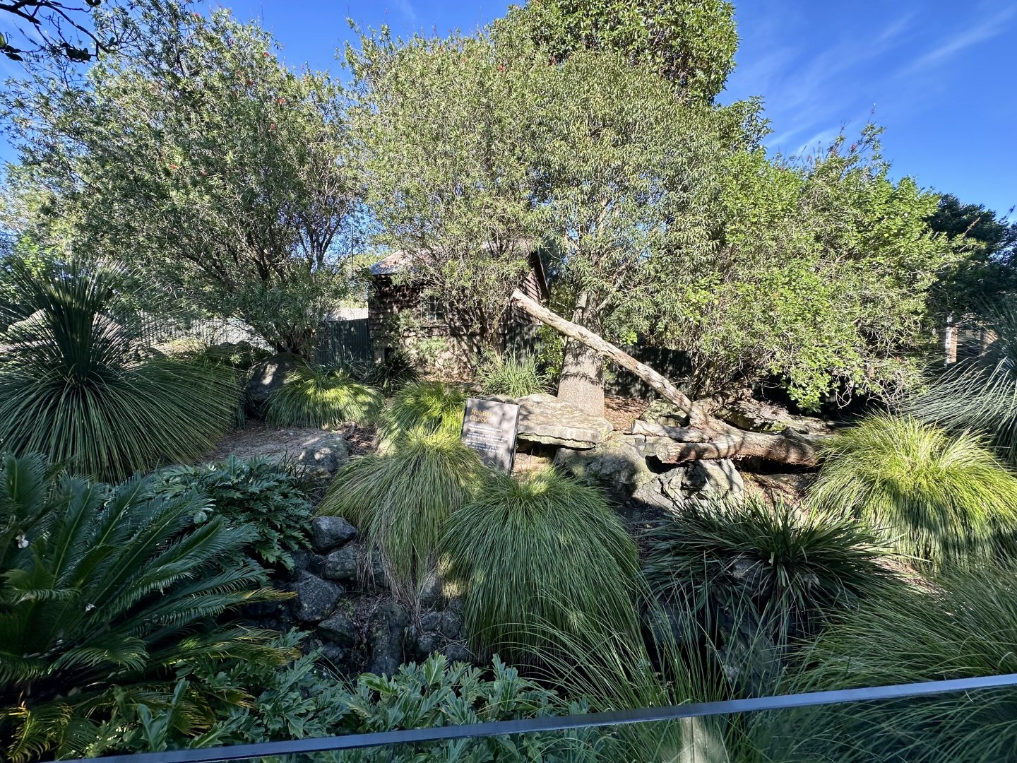 Tasmanian Devil Exhibit (Under Development)