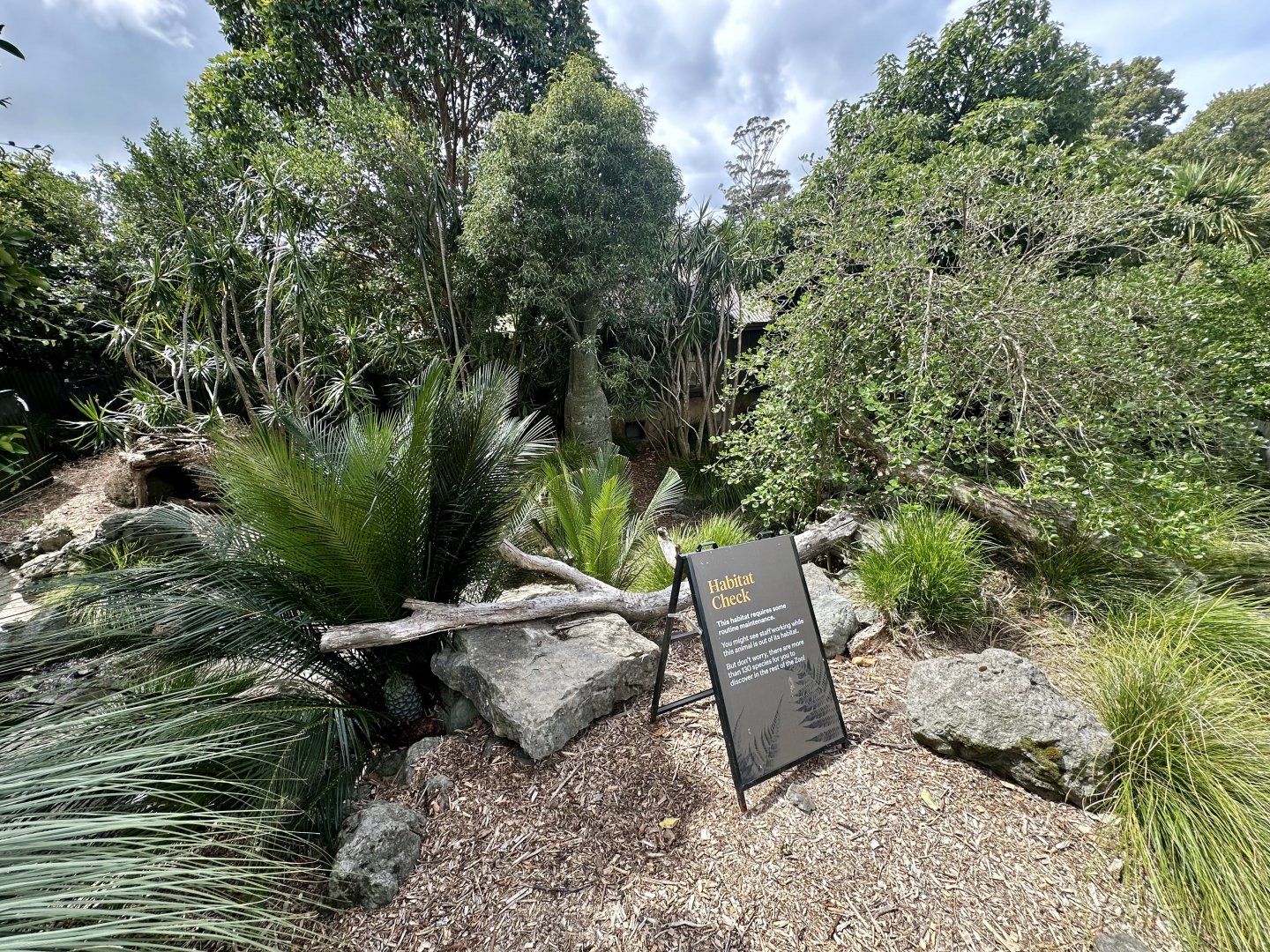 Tasmanian Devil Exhibit (Under Renovation)