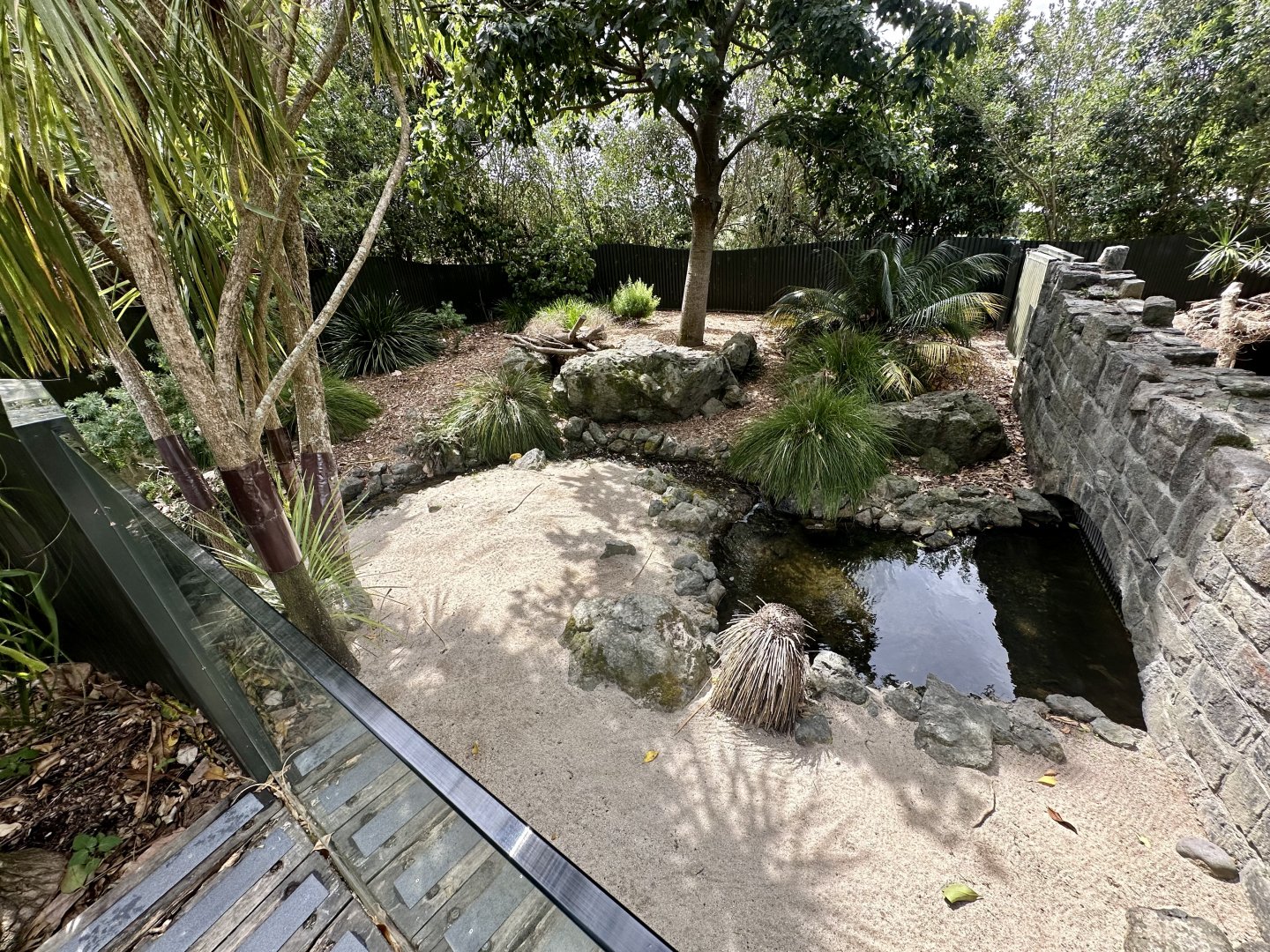 Tasmanian Devil Exhibit (Under Renovation)