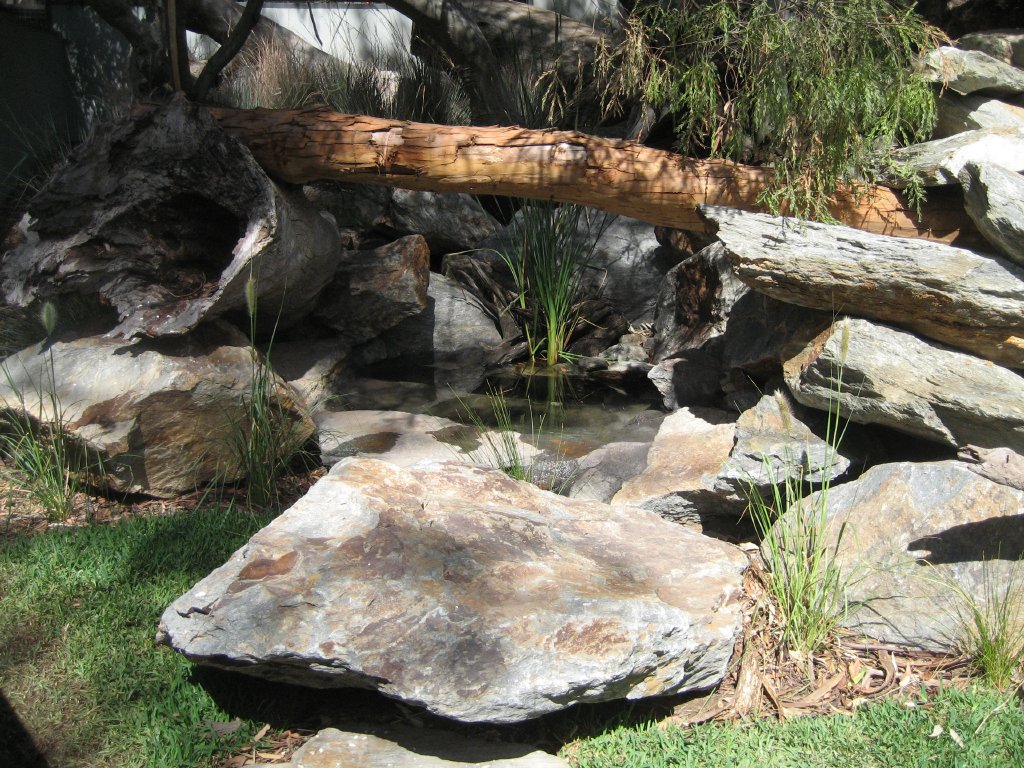 Tasmanian Devil exhibit