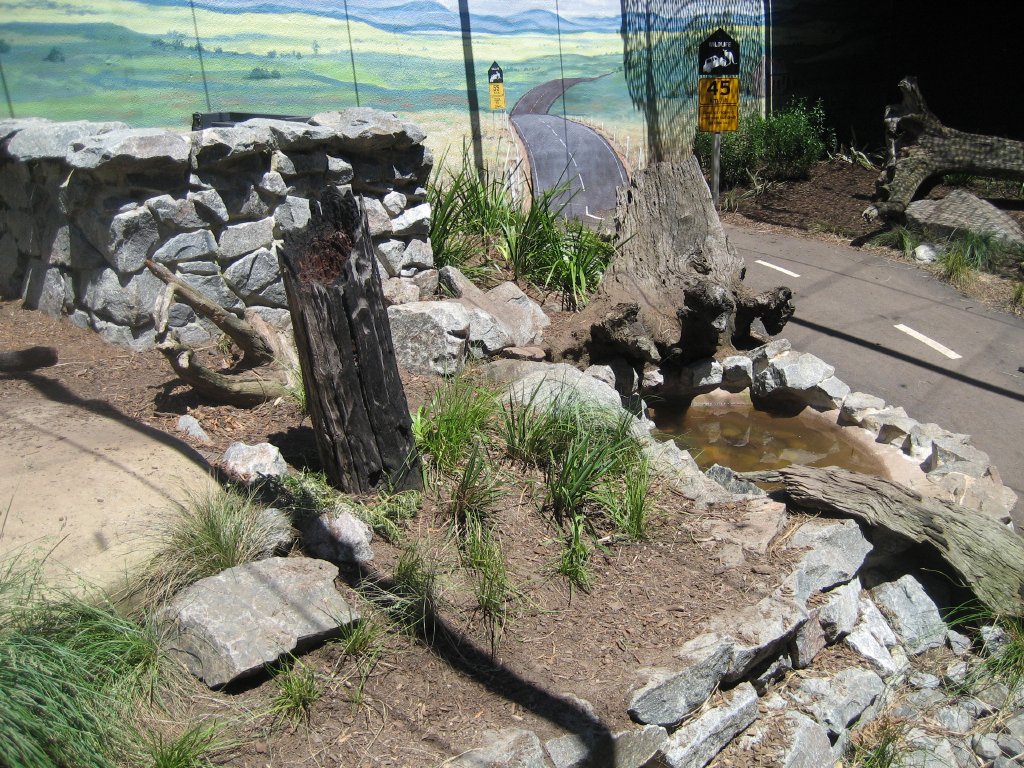 Tasmanian Devil exhibit