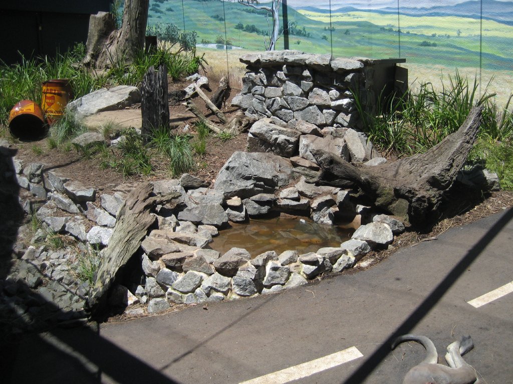 Tasmanian Devil exhibit