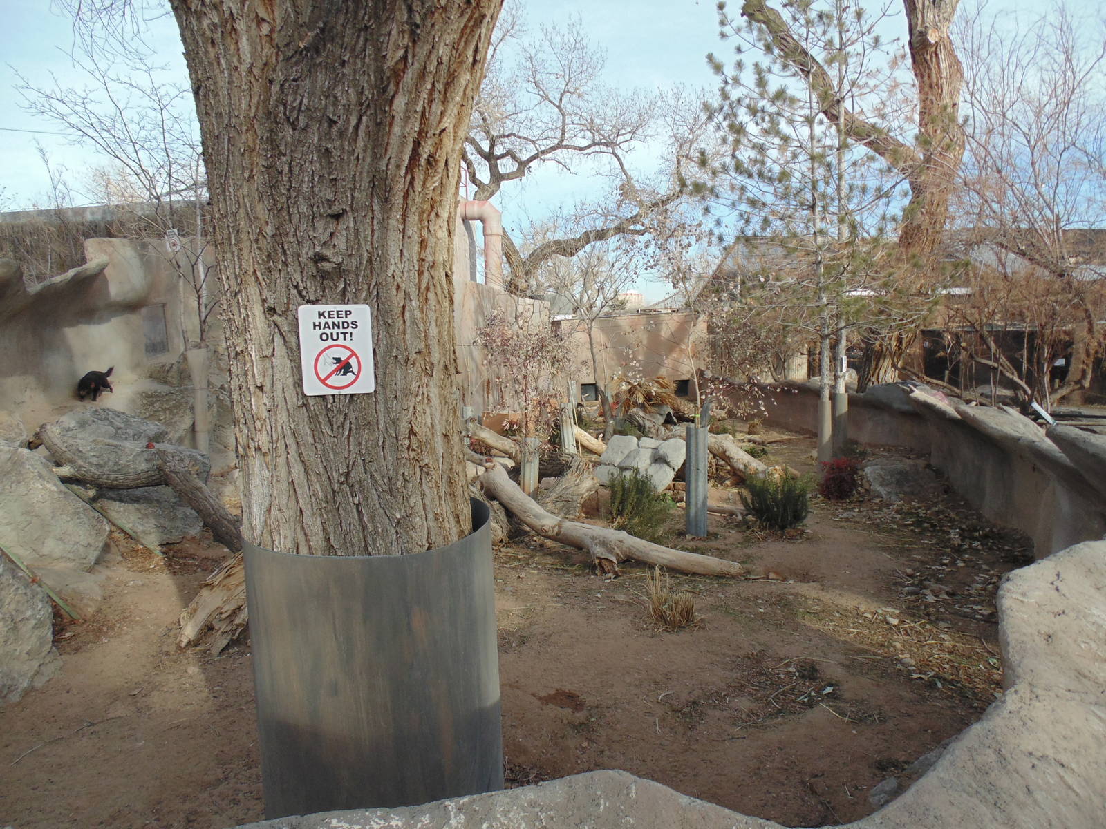Tasmanian Devil Exhibit