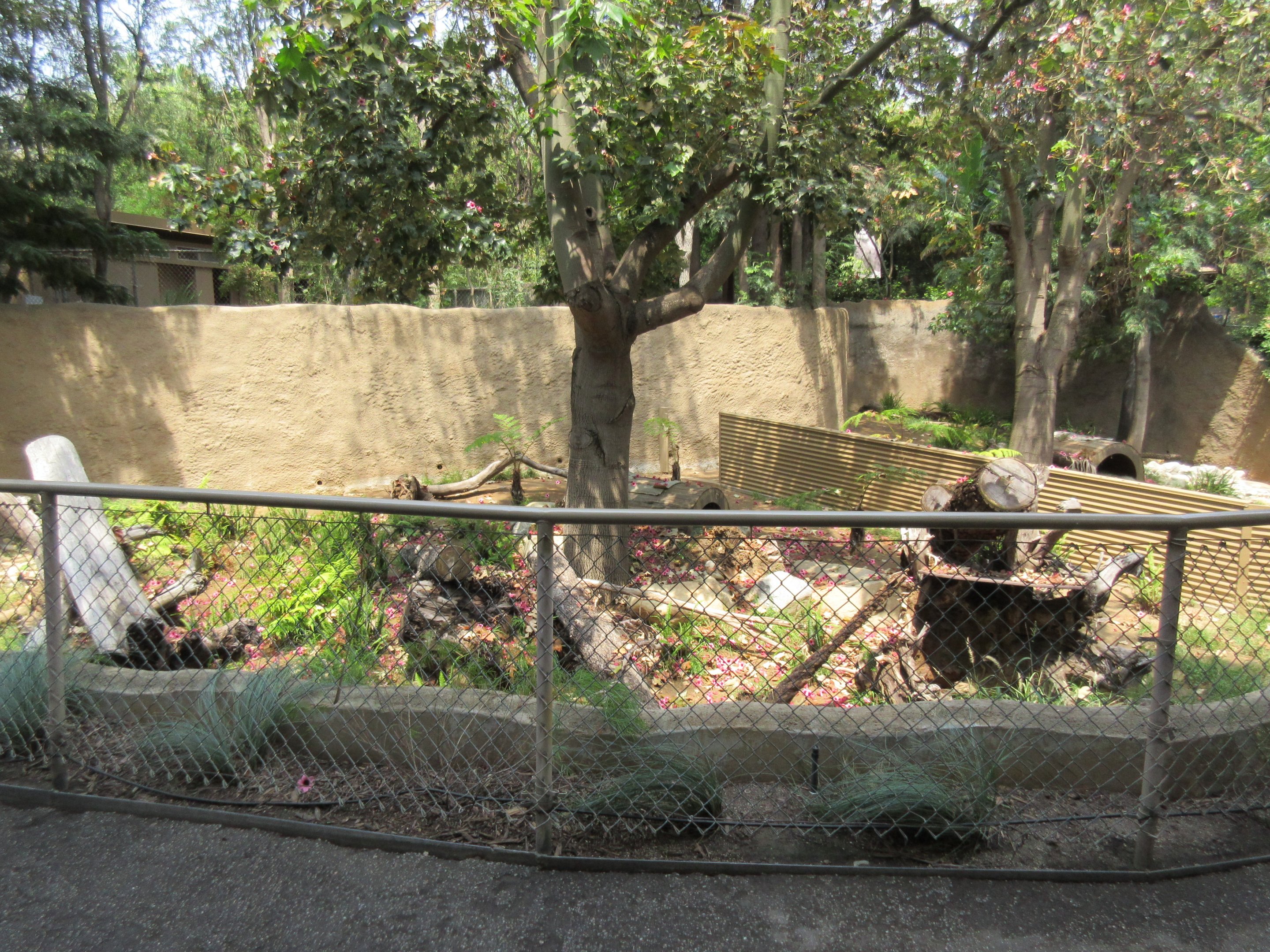 Tasmanian Devil Exhibit