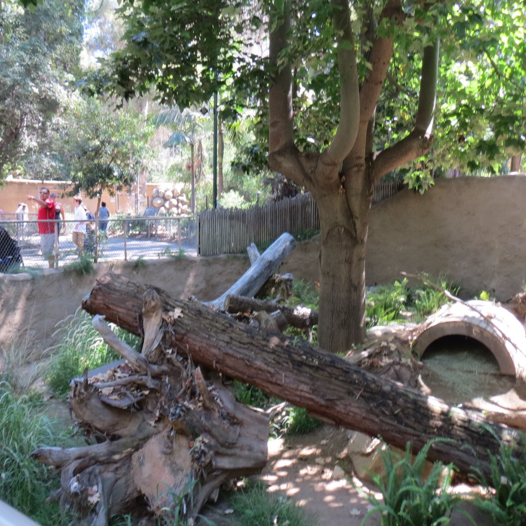 Tasmanian Devil Exhibit