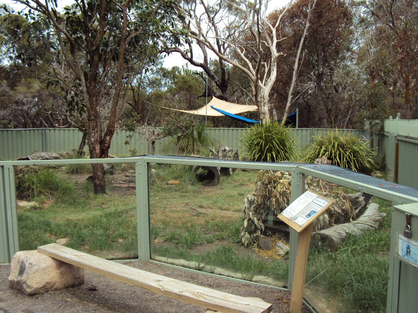 Tasmanian Devil exhibit