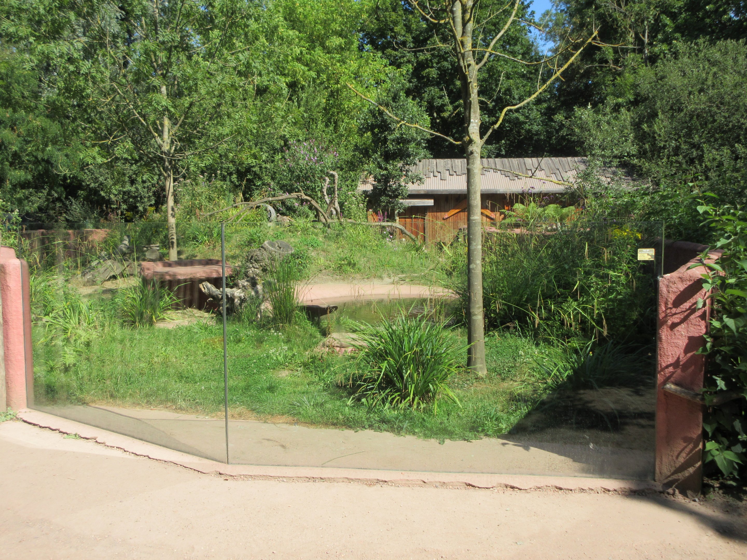 Tasmanian Devil Exhibit
