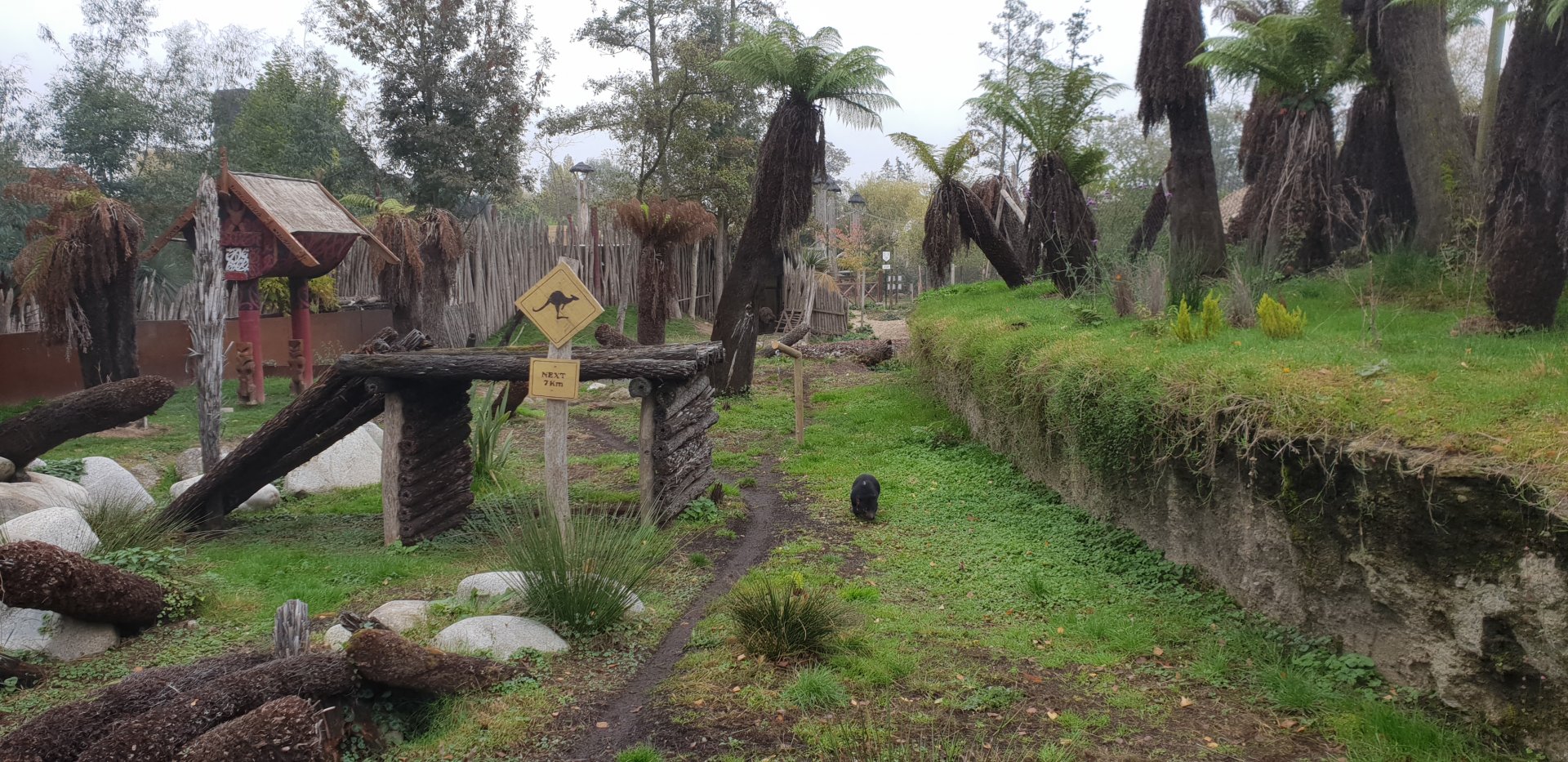 Tasmanian Devil Exhibit