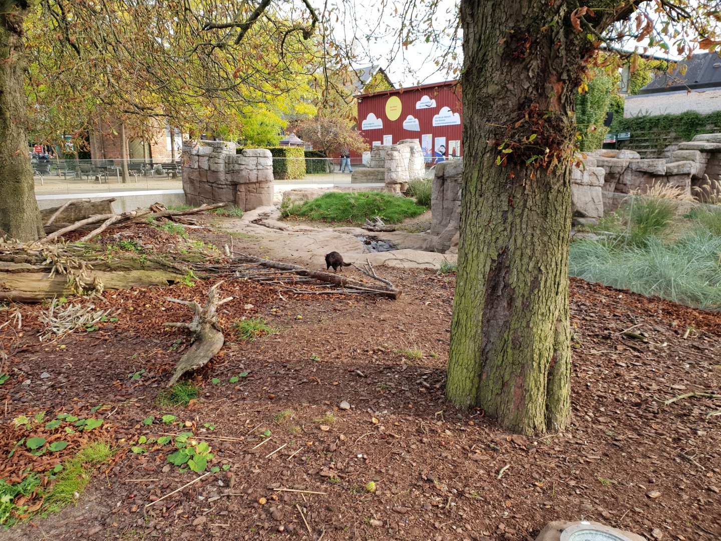 Tasmanian Devil exhibit