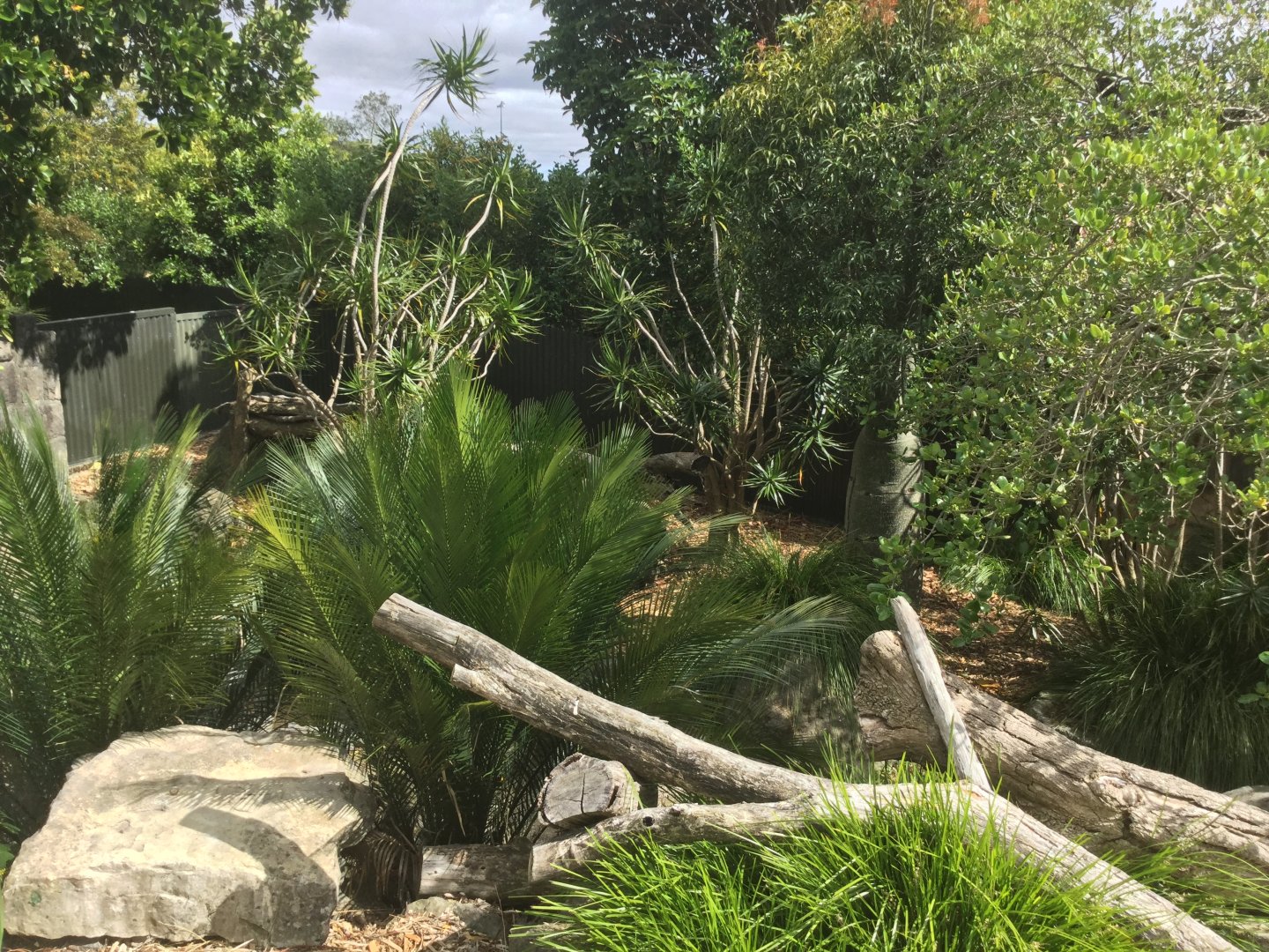 Tasmanian Devil Exhibit