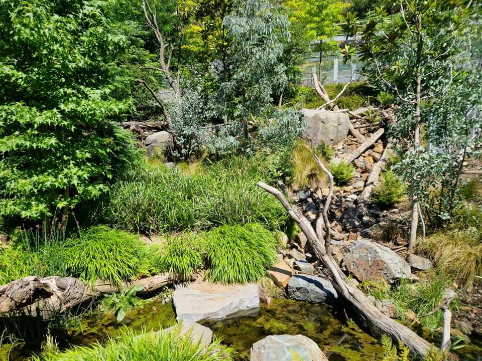 Tasmanian Devil exhibit