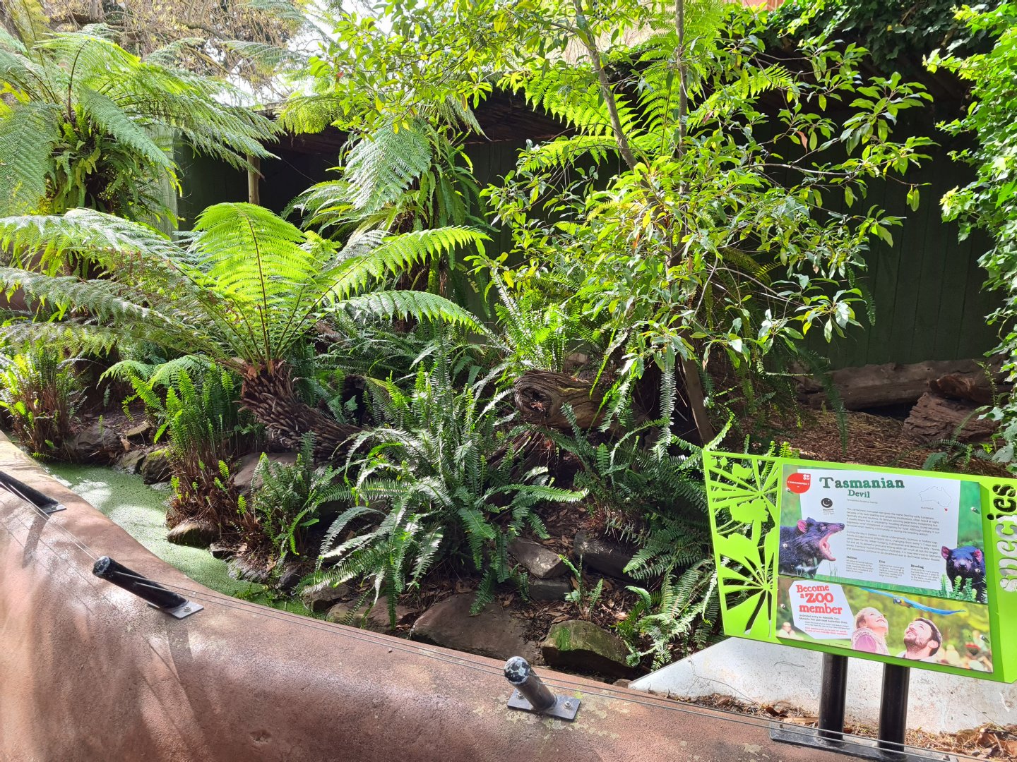 Tasmanian Devil exhibit