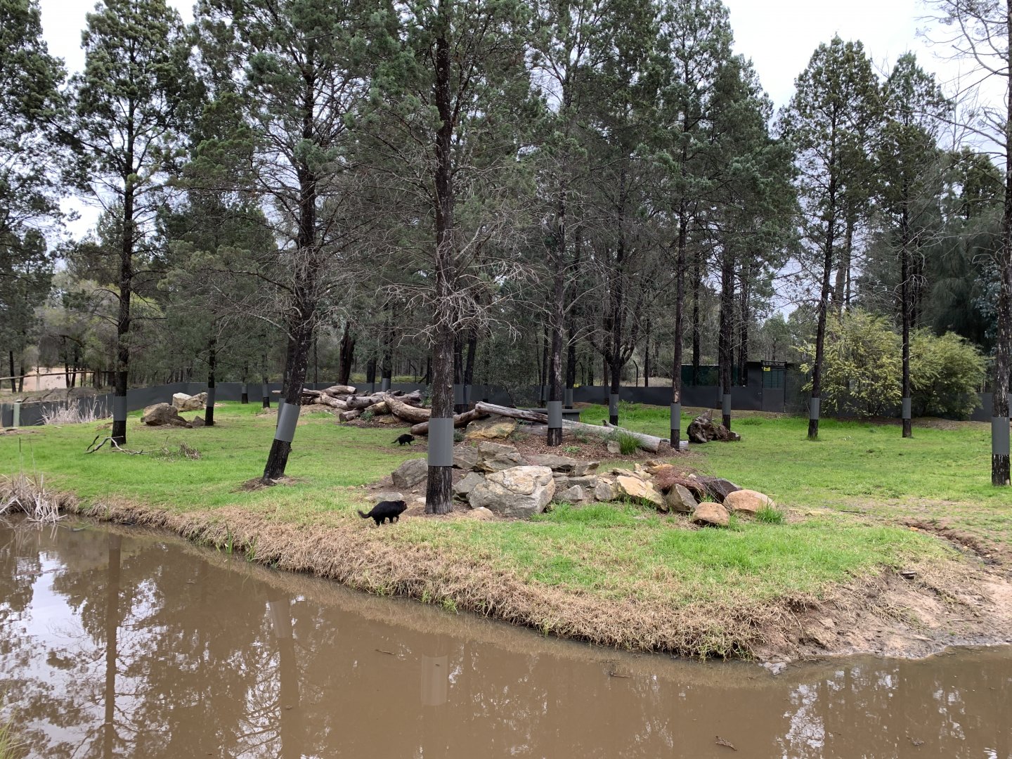 Tasmanian Devil Exhibit