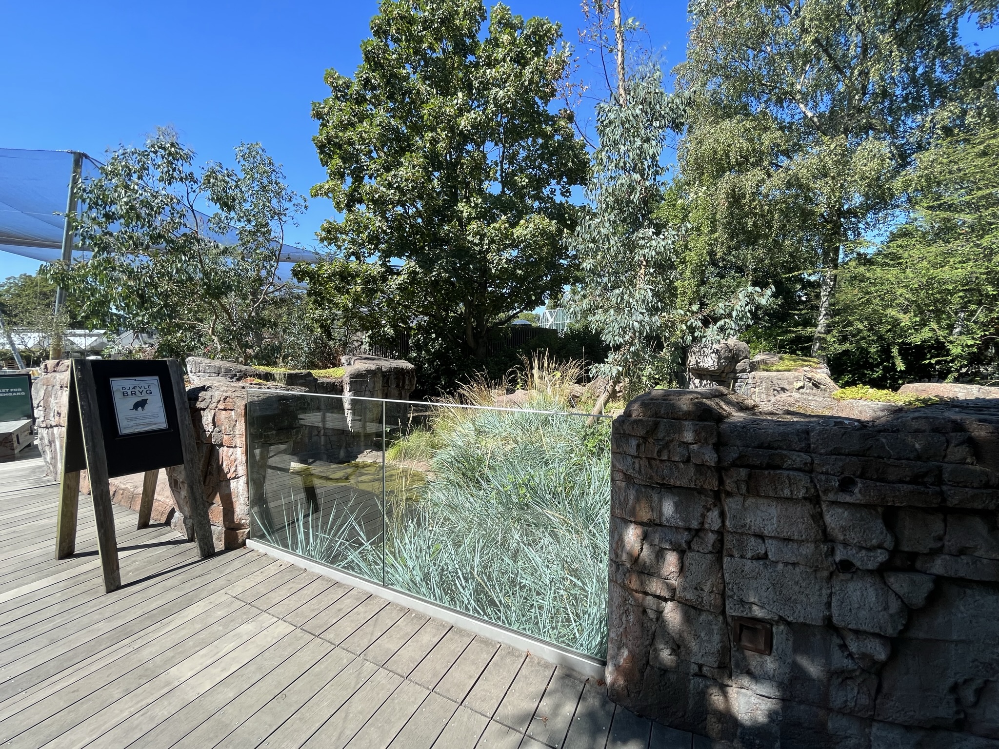 Tasmanian Devil Exhibit