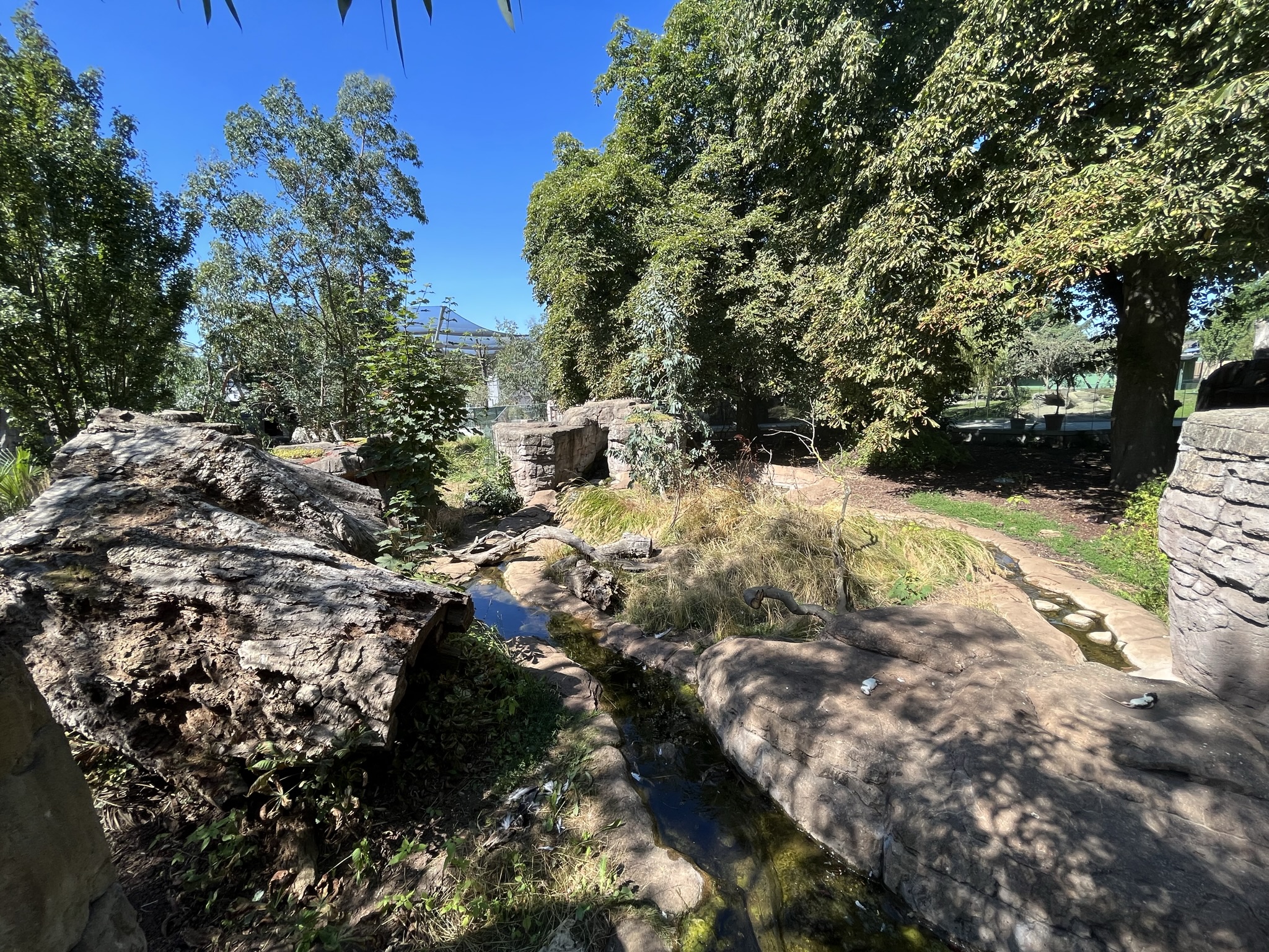 Tasmanian Devil Exhibit