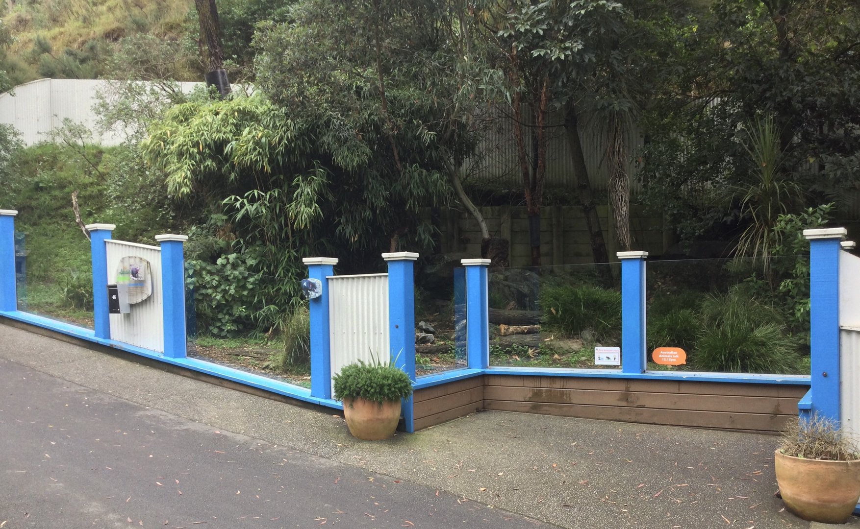 Tasmanian Devil Exhibit