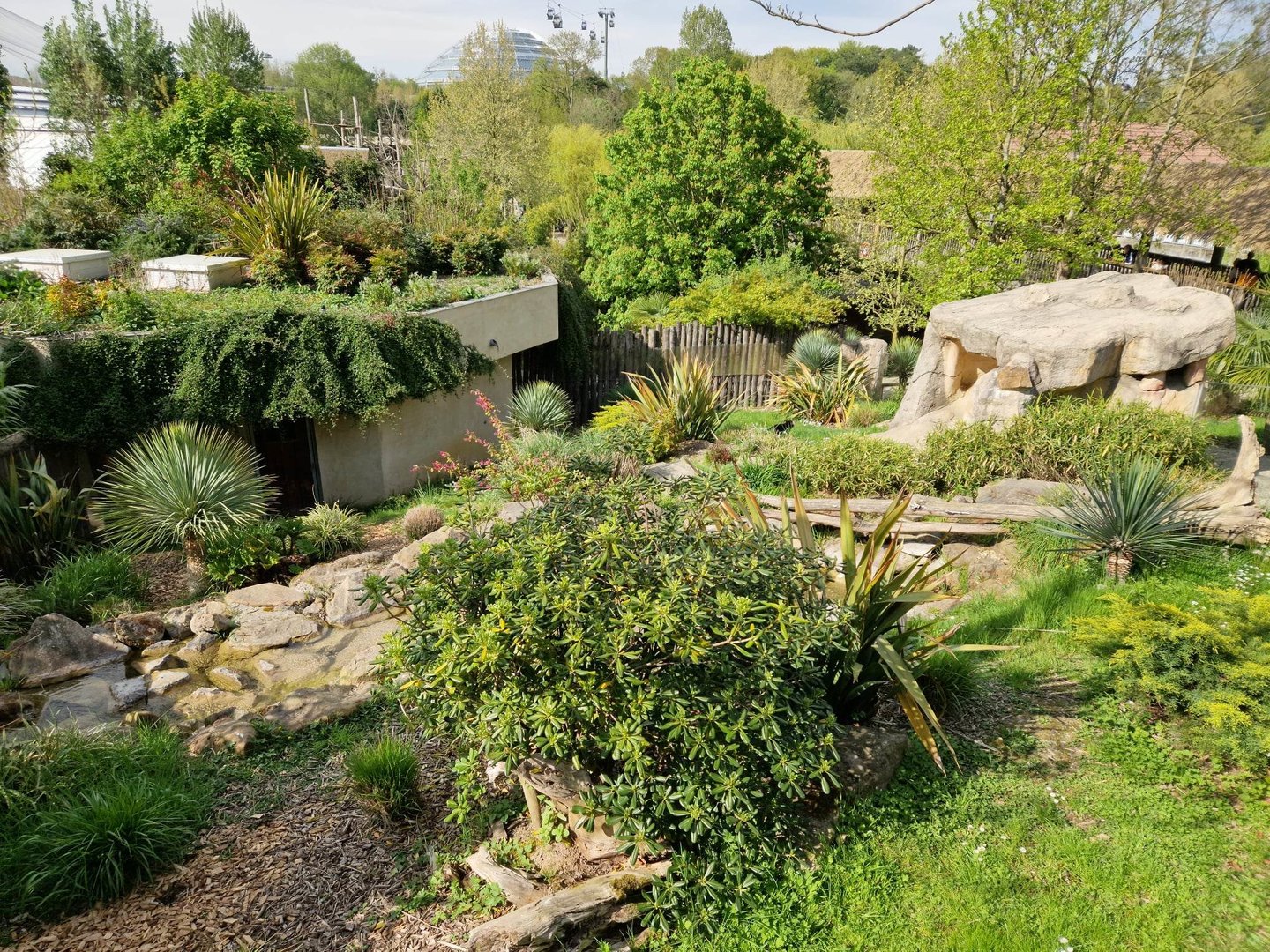 Tasmanian Devil exhibit