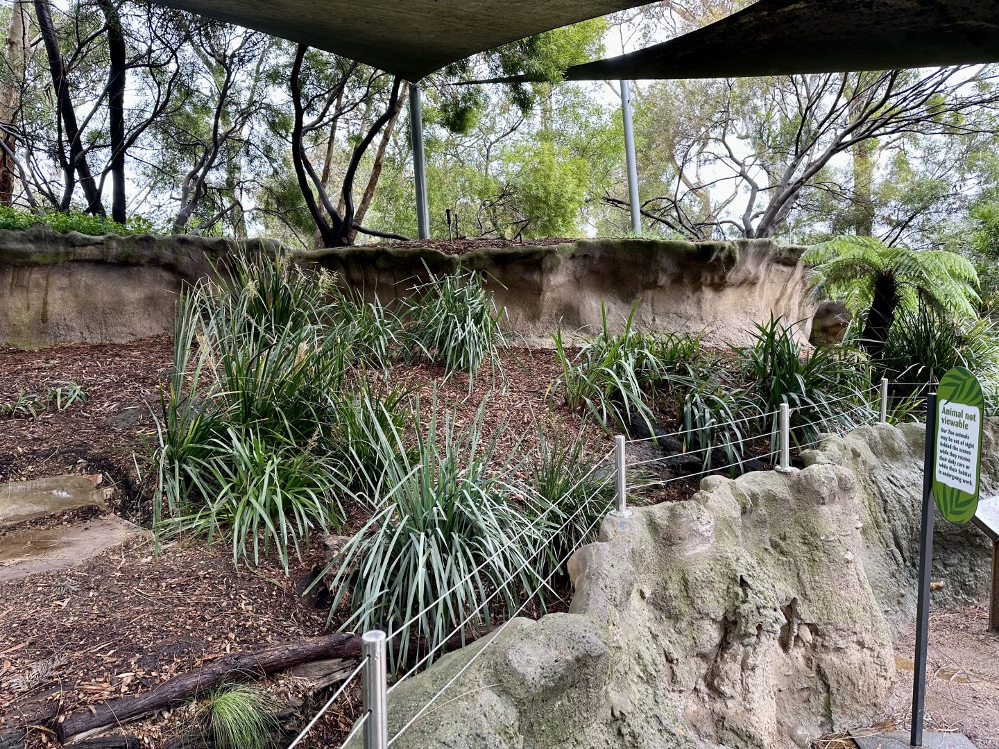 Tasmanian Devil Exhibit