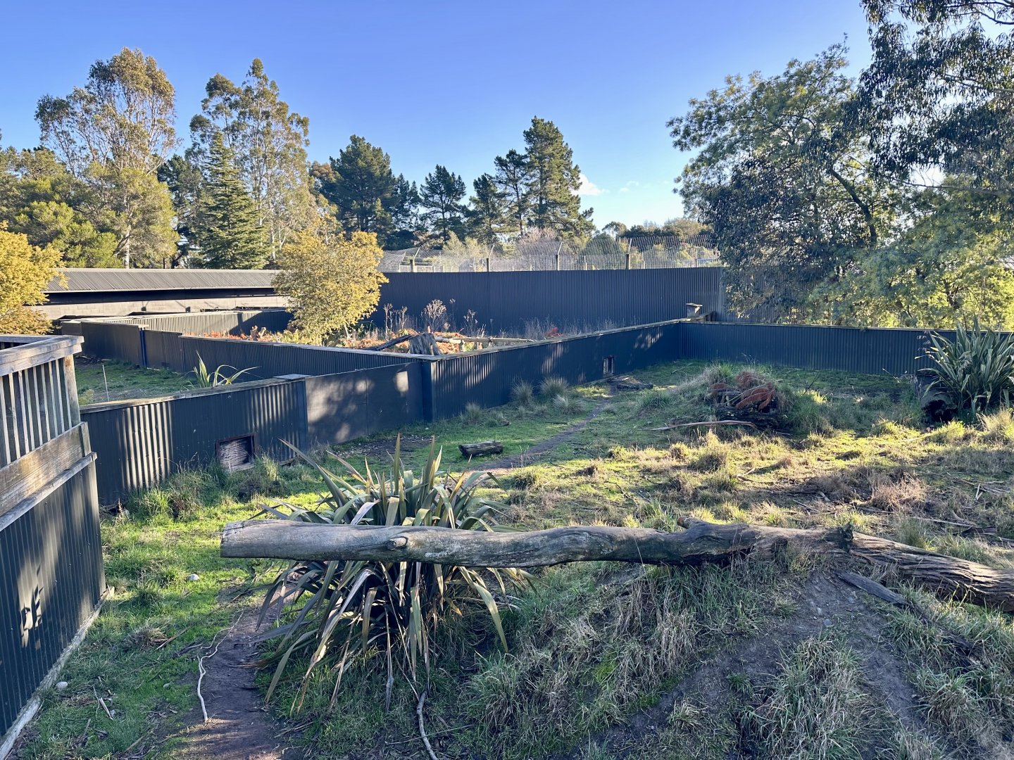 Tasmanian Devil Exhibit
