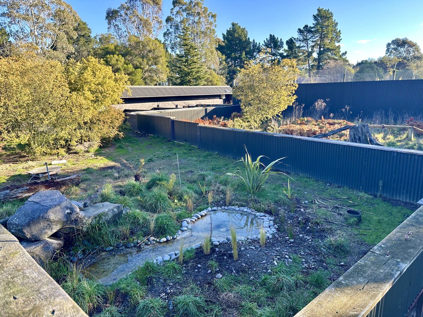 Tasmanian Devil Exhibit