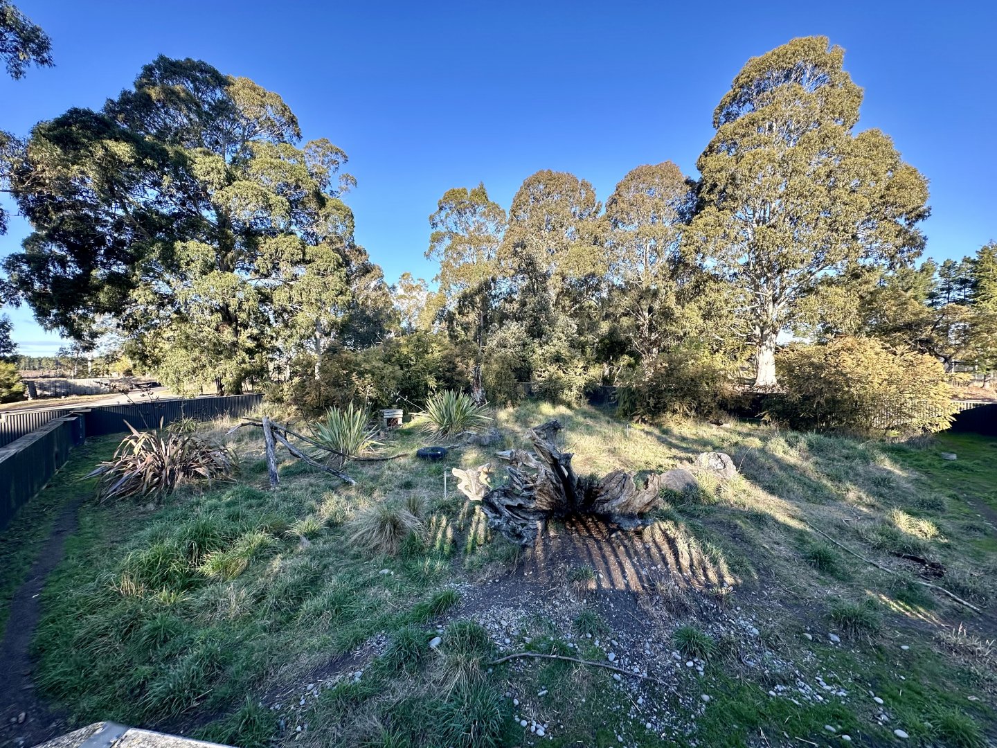 Tasmanian Devil Exhibit