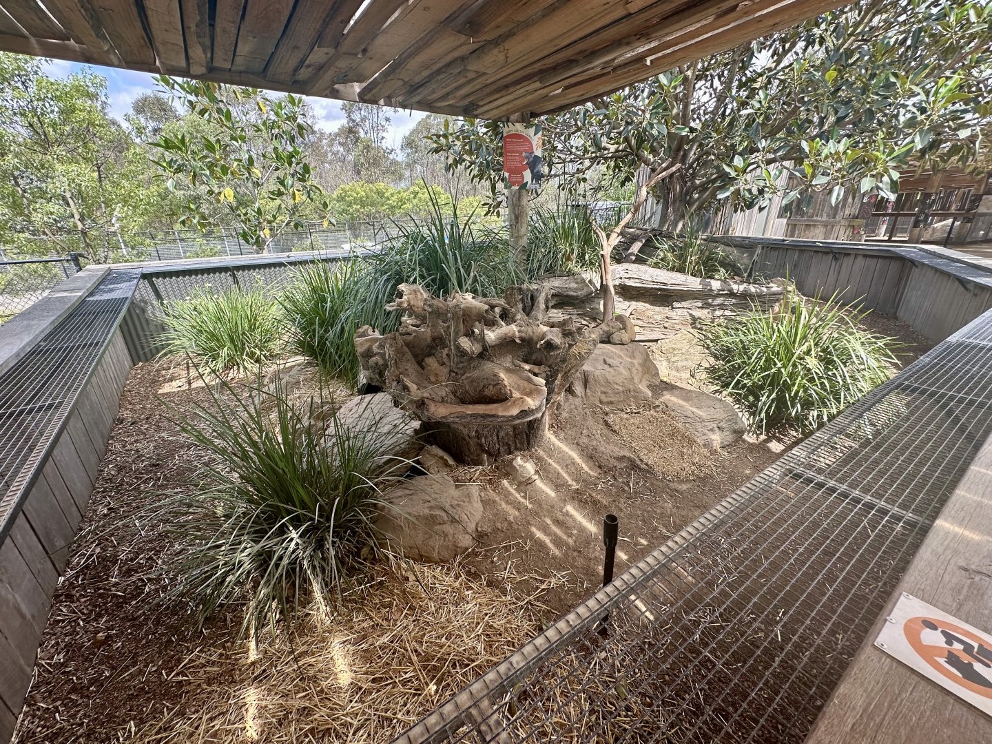 Tasmanian Devil Exhibit