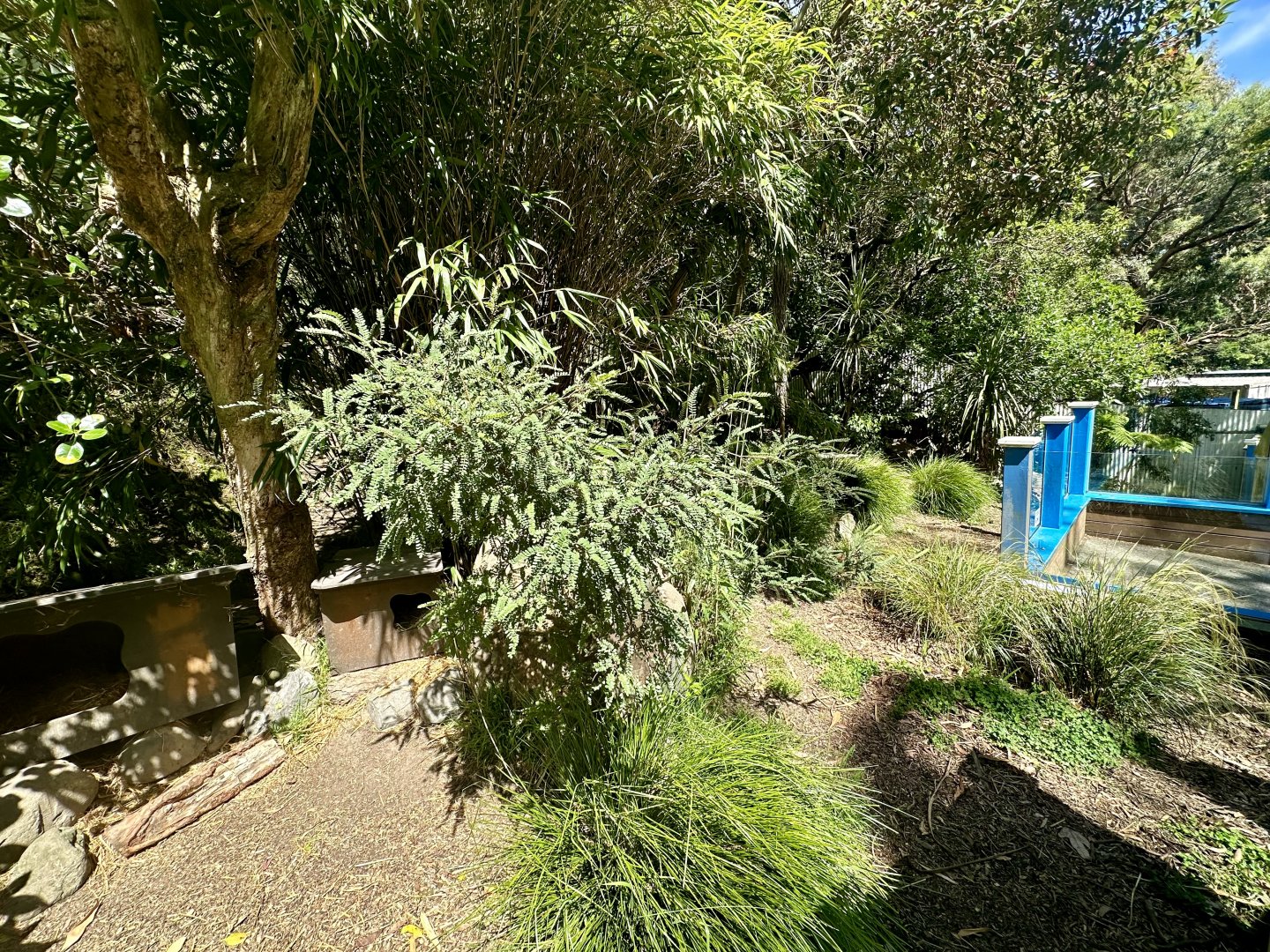 Tasmanian Devil Exhibit