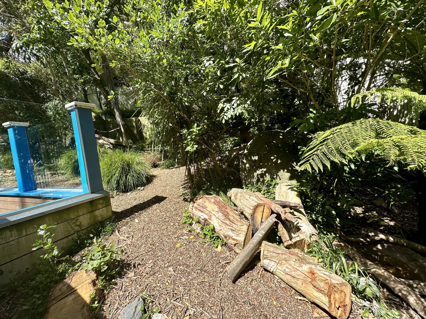 Tasmanian Devil Exhibit