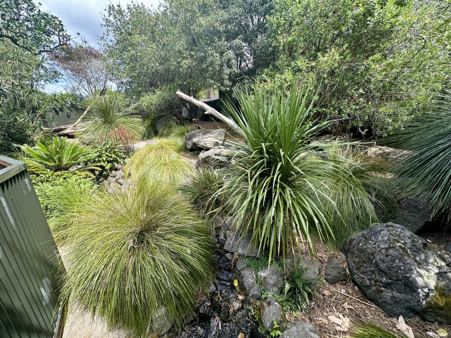 Tasmanian Devil Exhibit