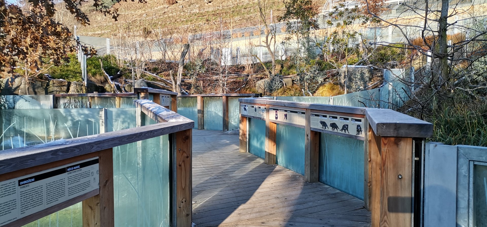 Tasmanian Devil outdoor, Darwin Crater