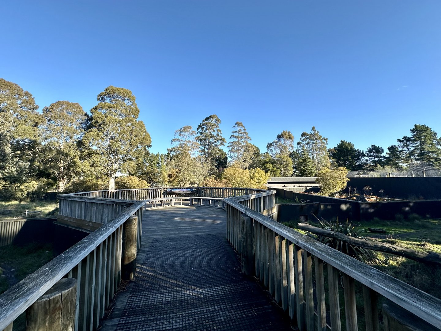 Tasmanian Devil Panorama