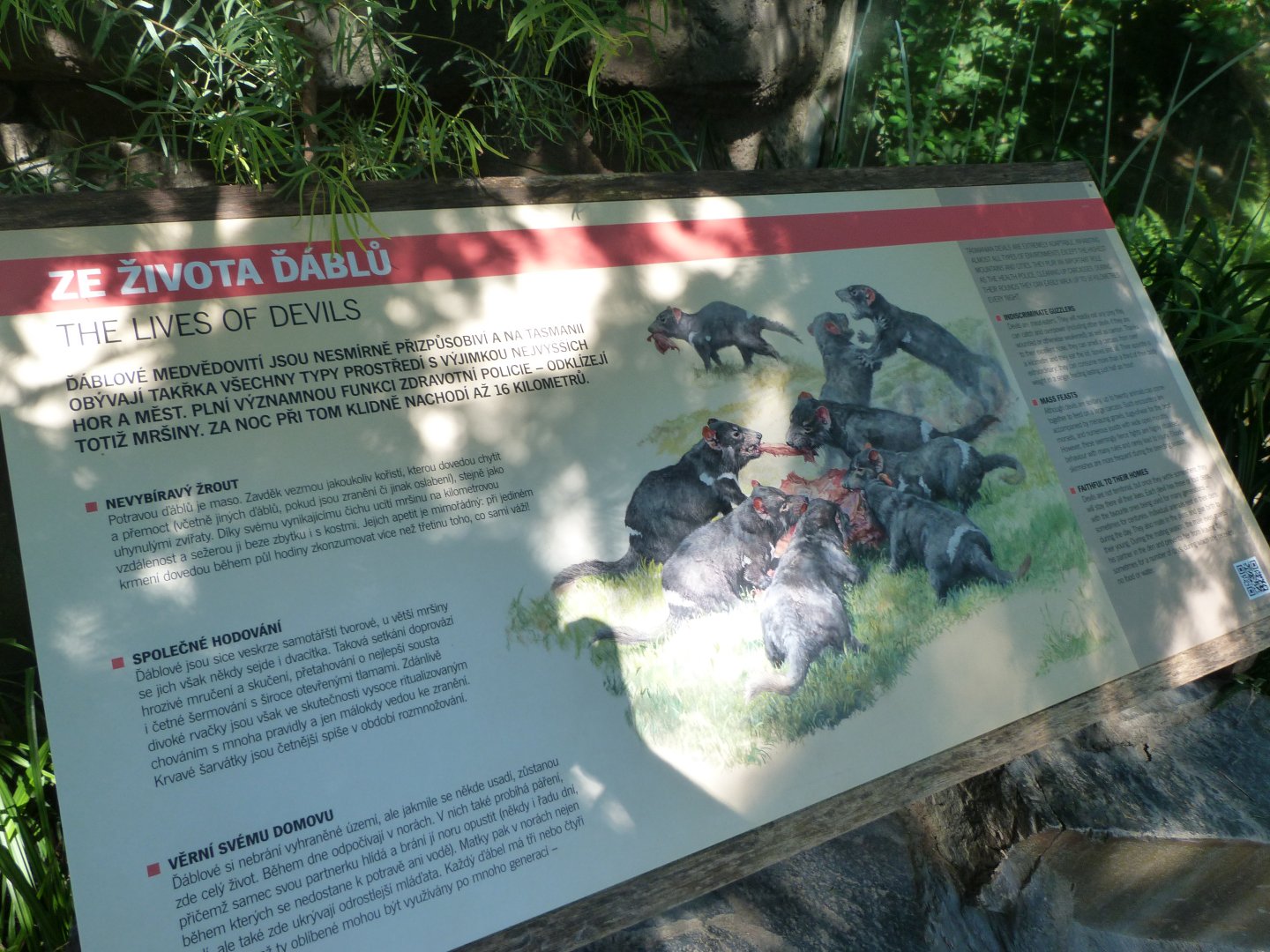 Tasmanian devil sign -Zoo Praha (2025)