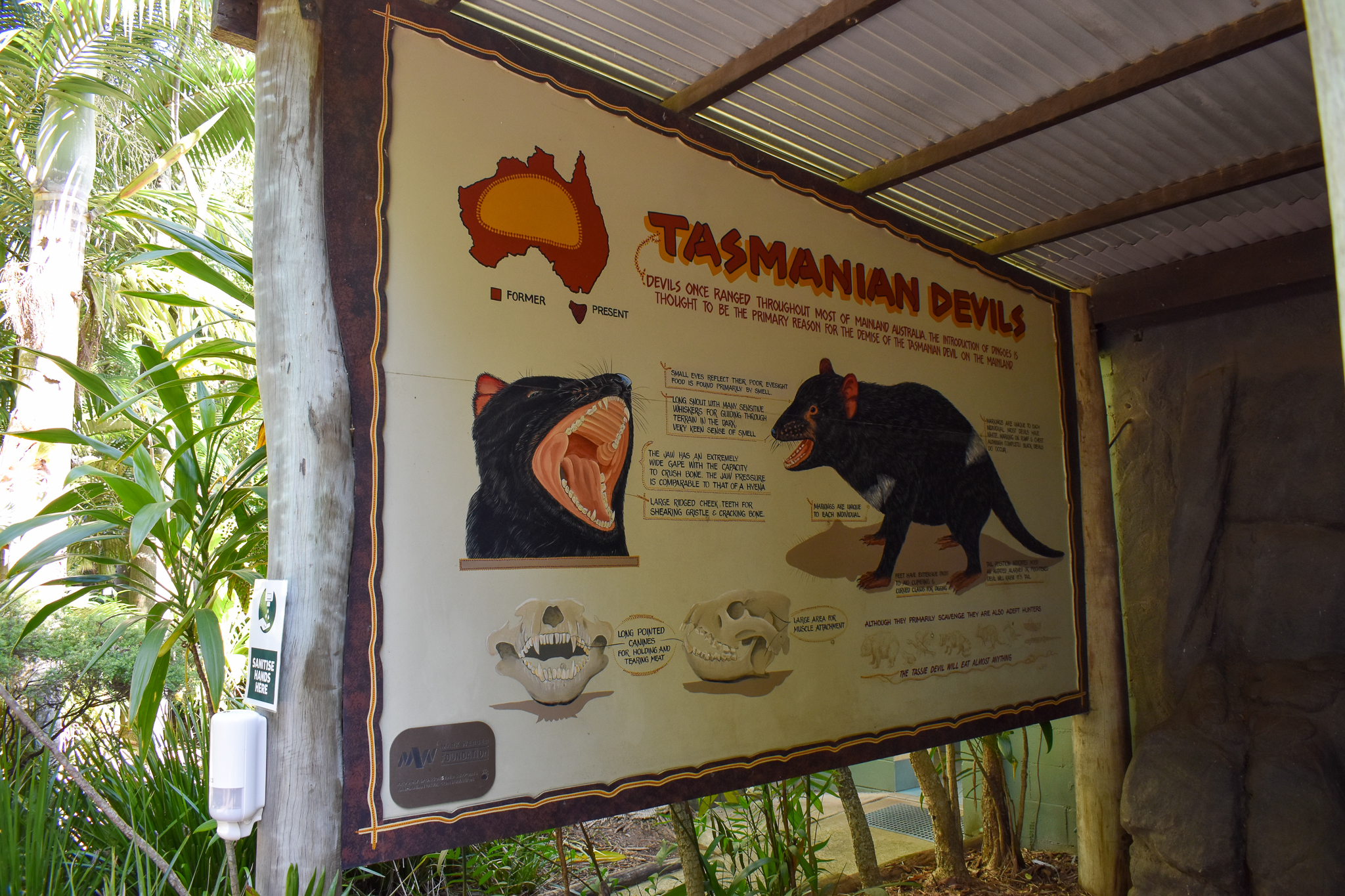 Tasmanian Devil Signage