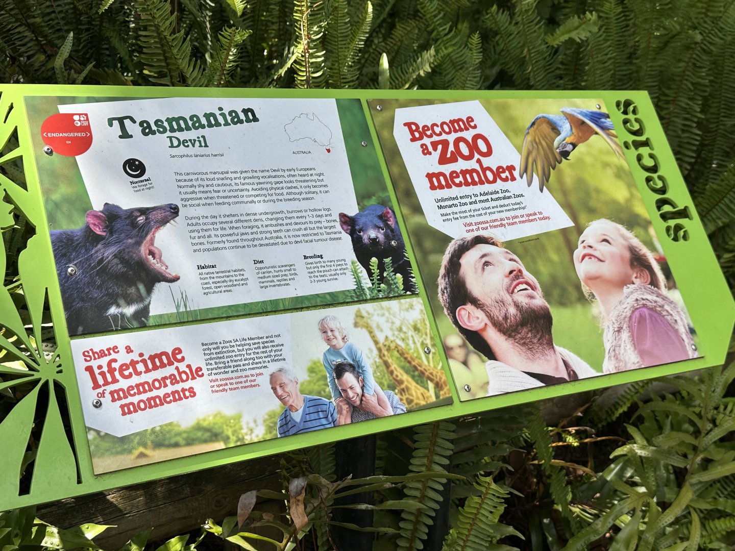 Tasmanian devil signage