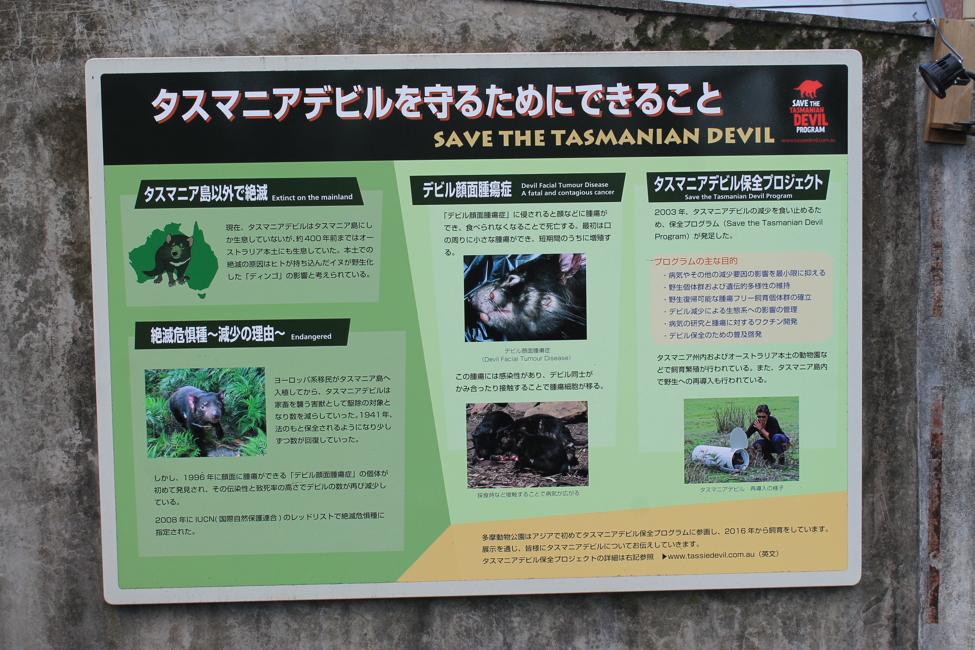 Tasmanian Devil signage