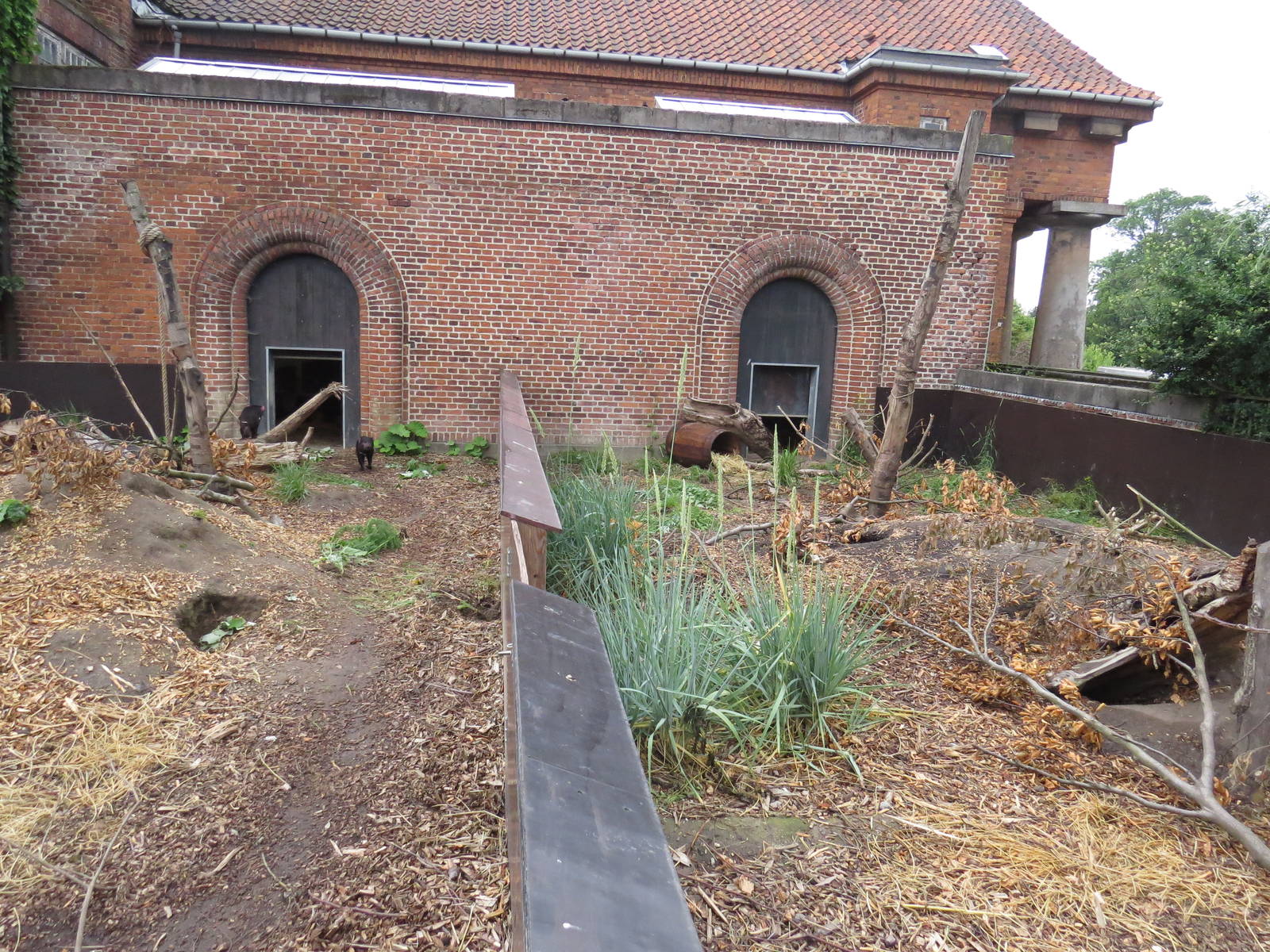 Tasmanian devil surplus enclosures, June 2015.
