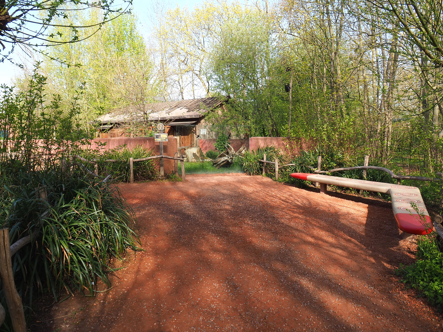 Tasmanian devil viewing area, 2022-04-12