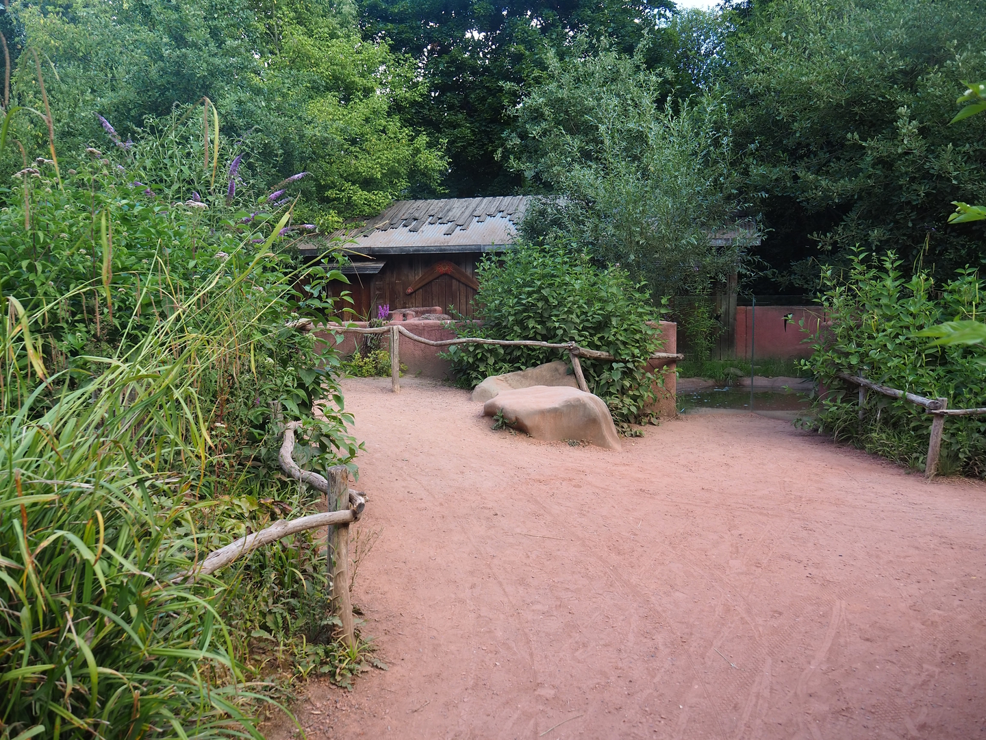 Tasmanian devil viewing area, 2022-07-16