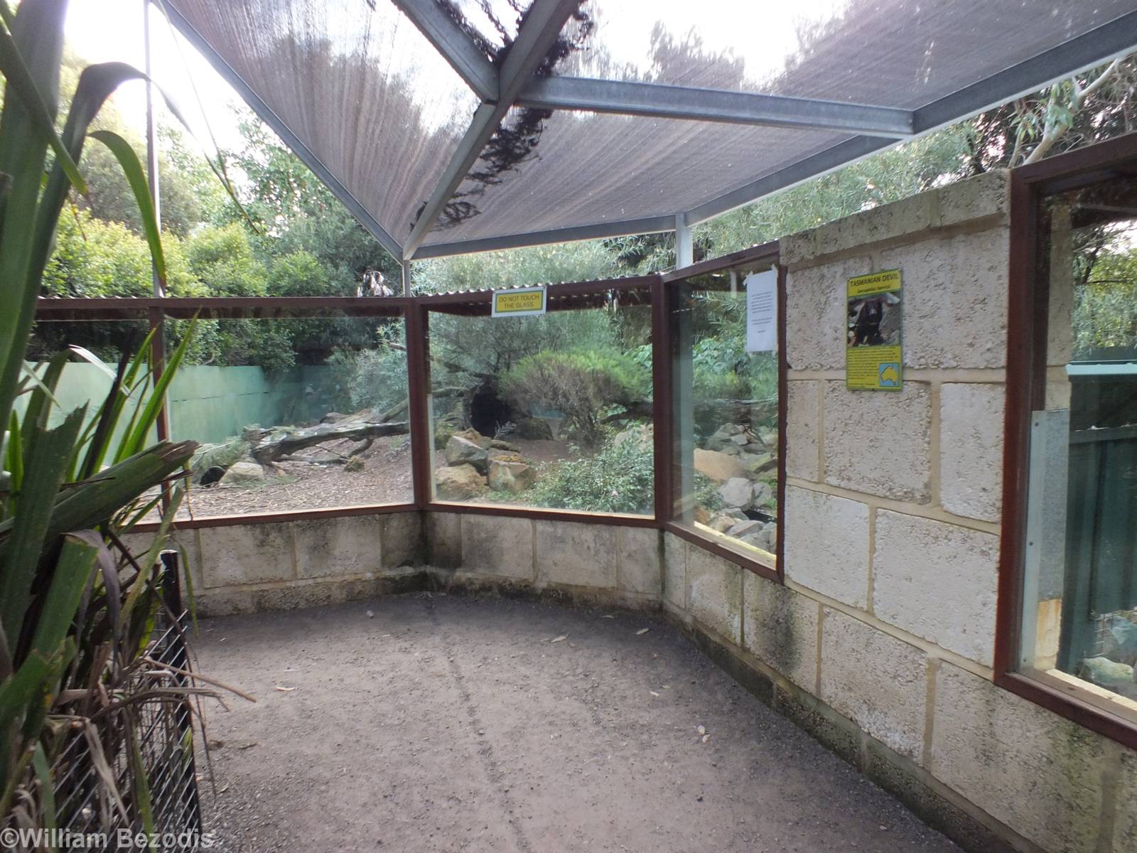 Tasmanian Devil Viewing Area - Caversham Wildlife Park