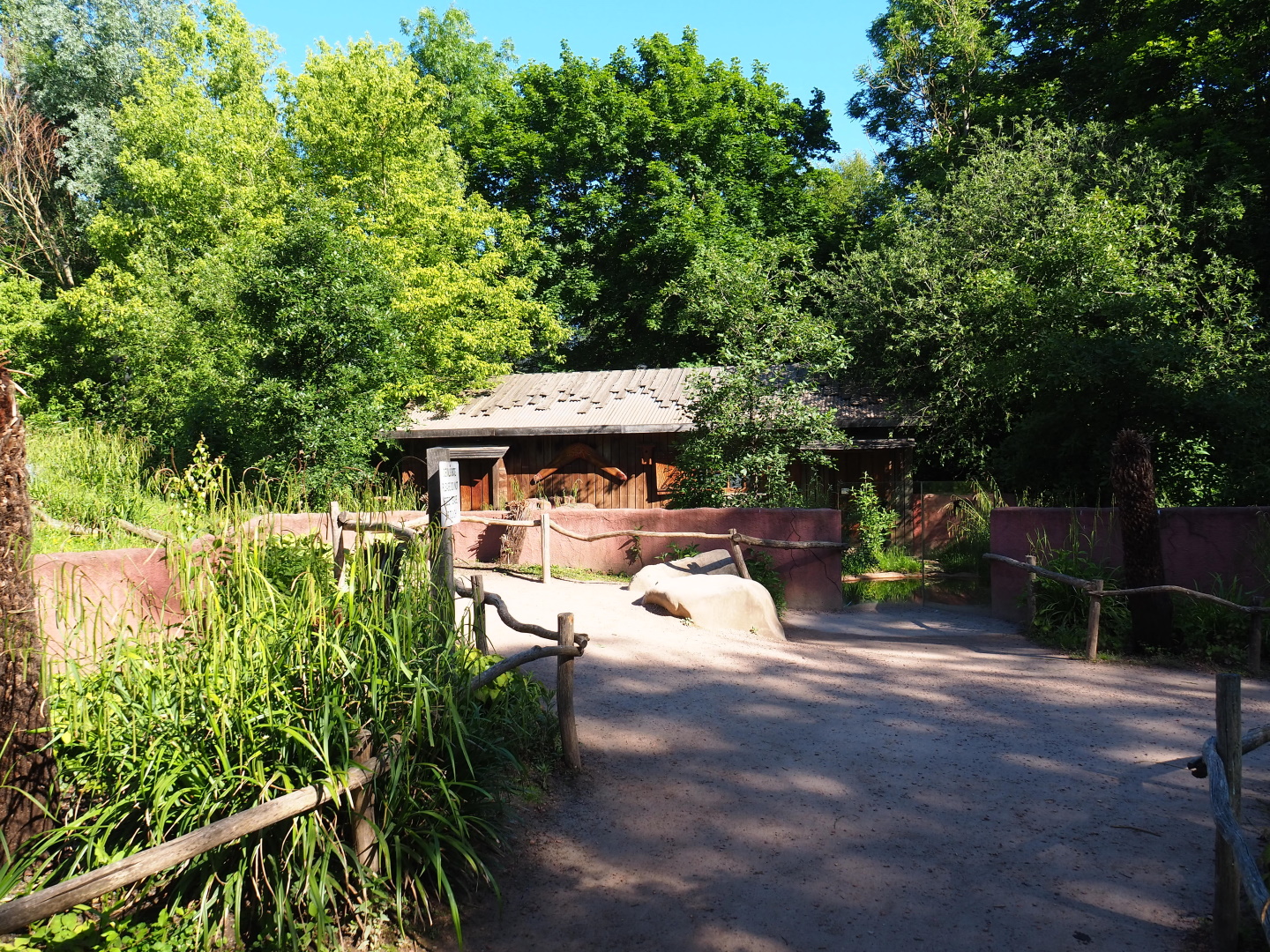 Tasmanian devil viewing areas, 2021-06-01